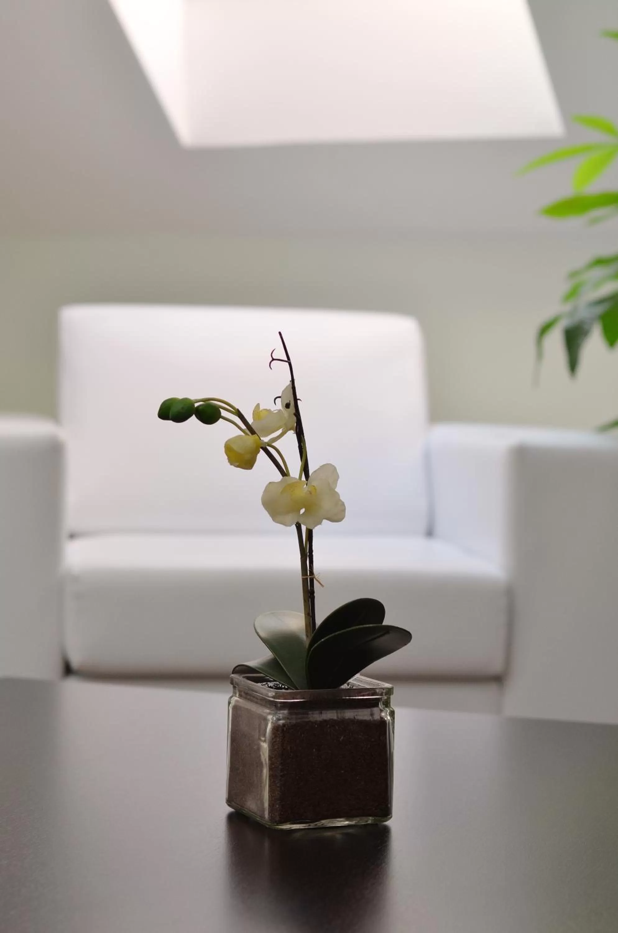 Decorative detail in Art Garni Hotel