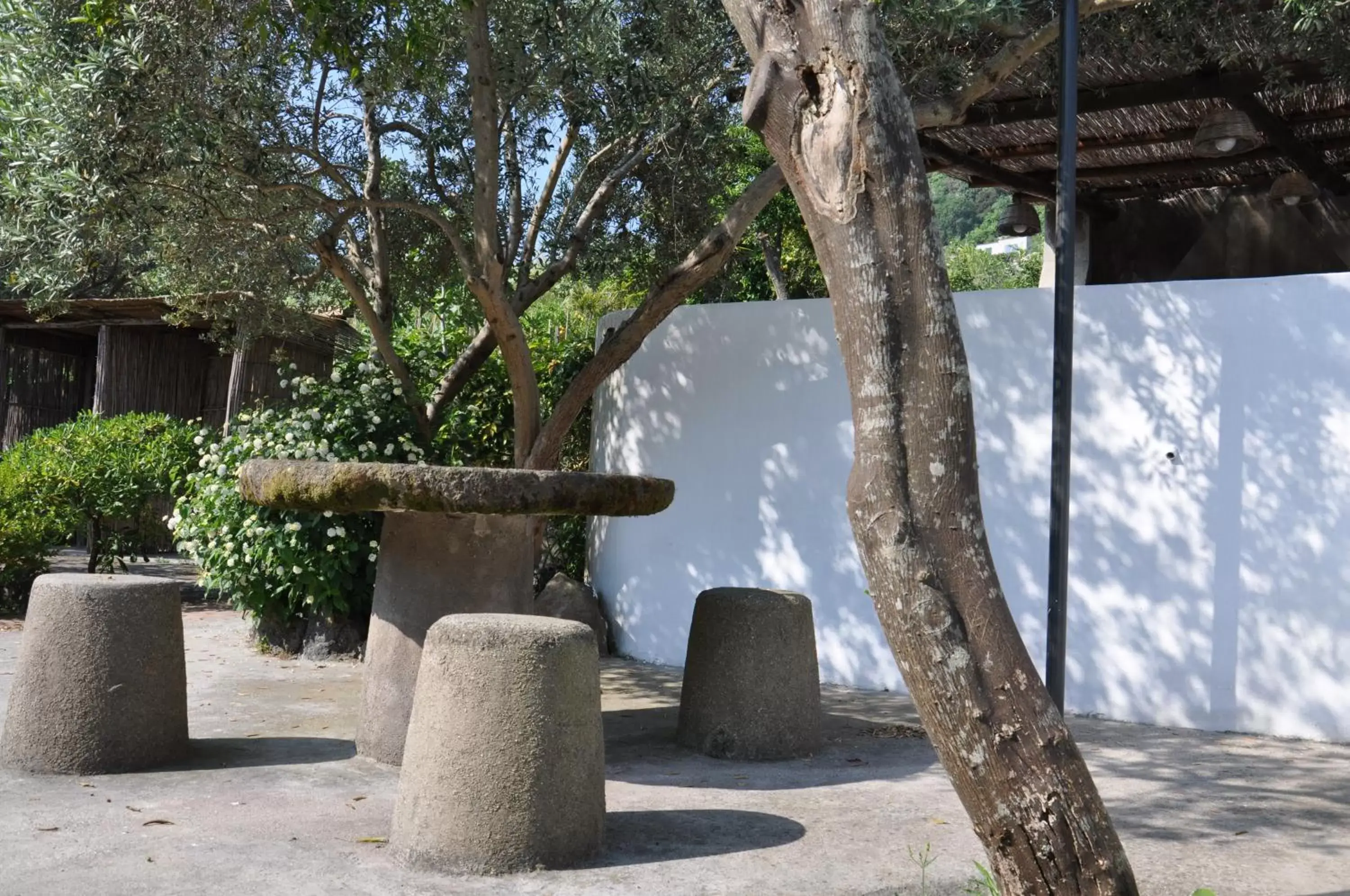 Garden in Hotel La Marticana