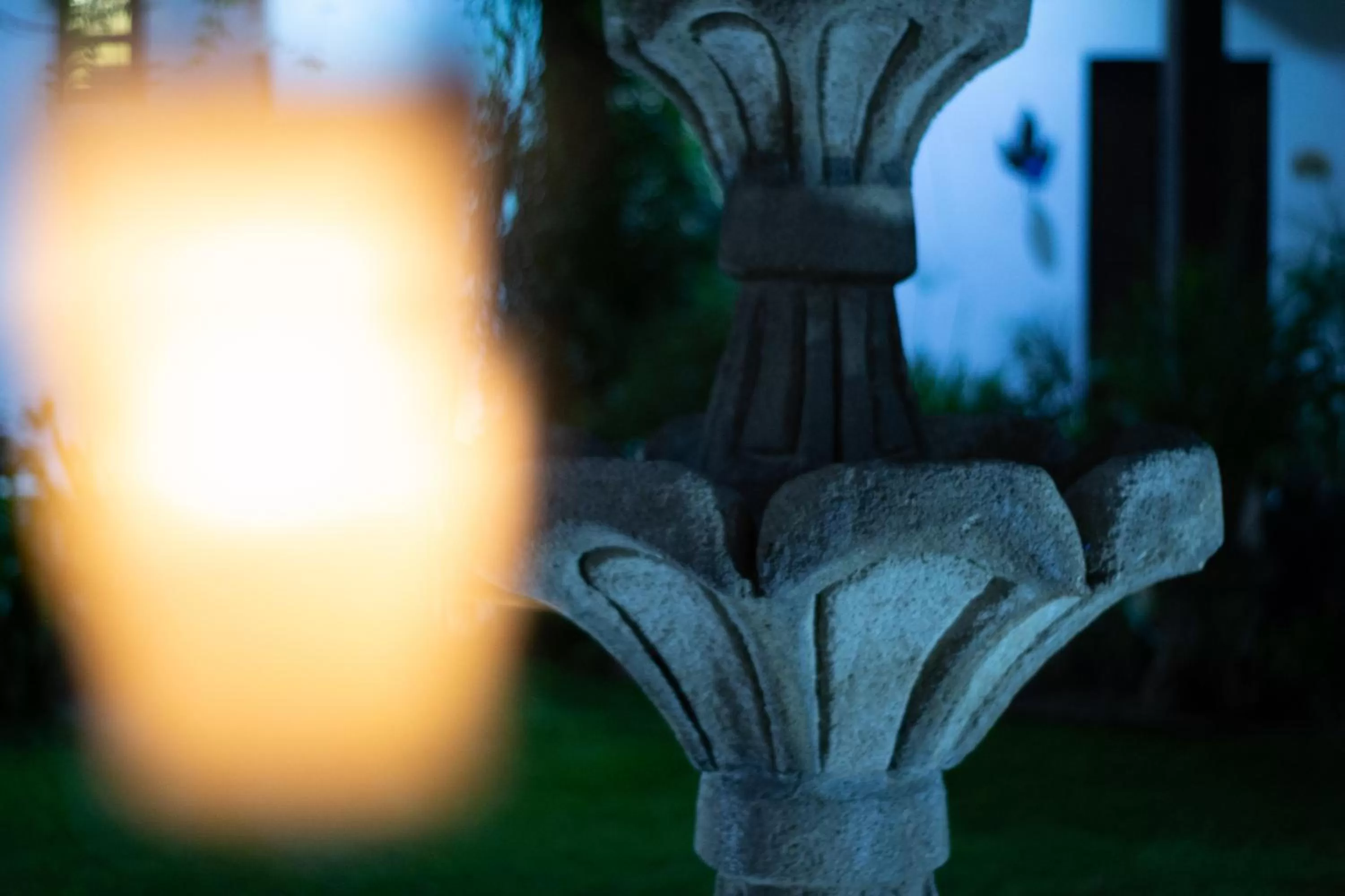 Garden in Hotel Las Marias