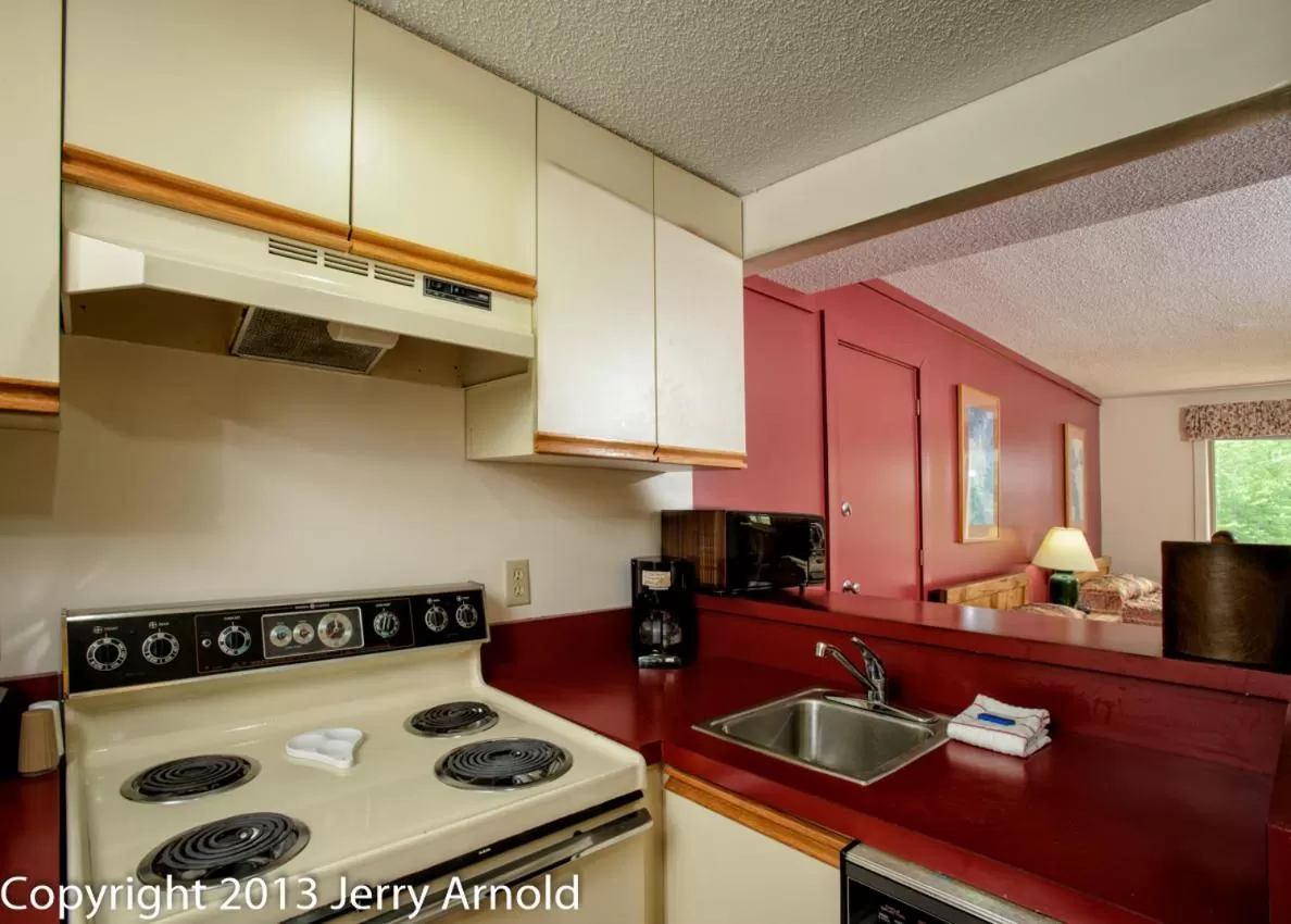 Kitchen or kitchenette in Snowy Owl Inn