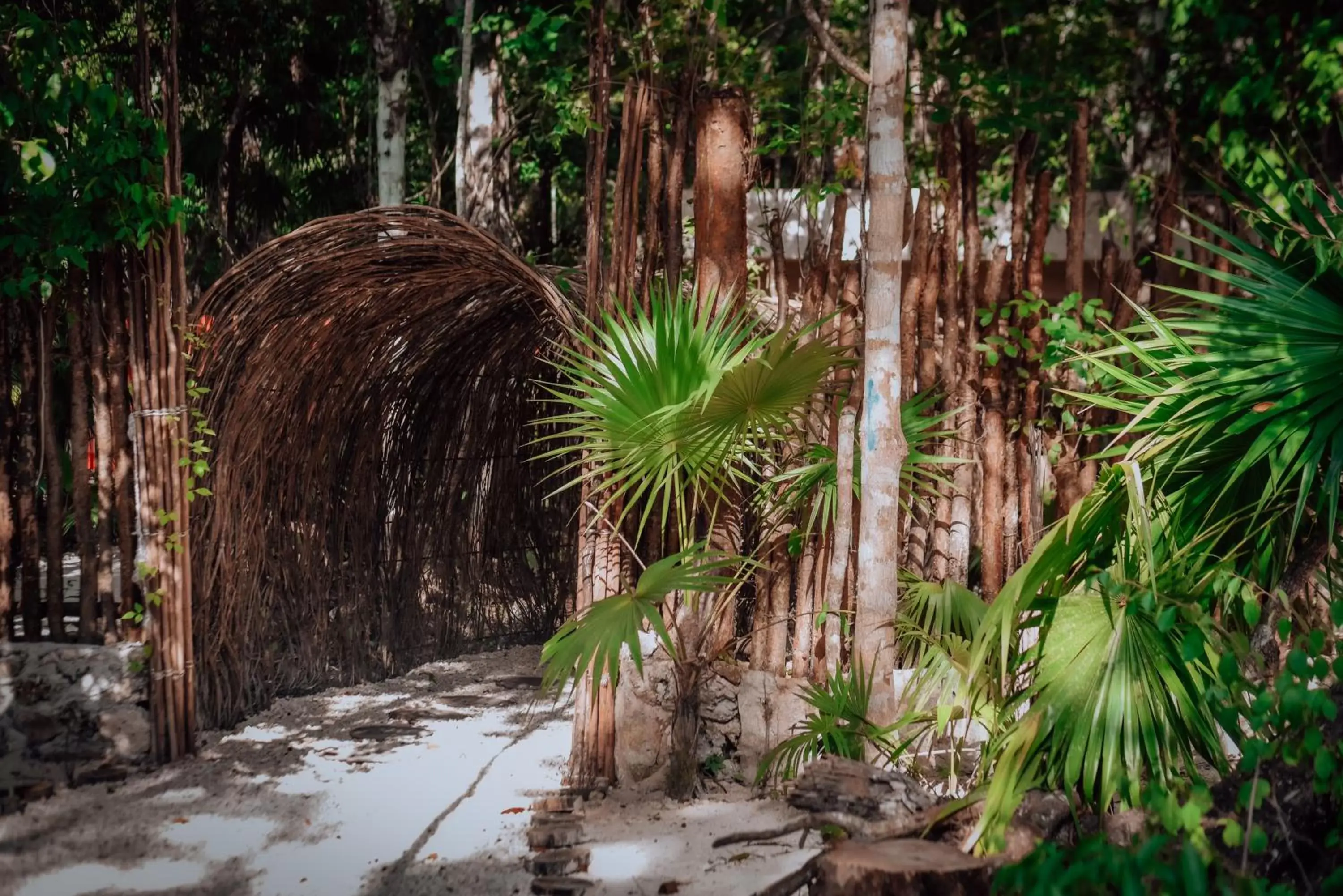 Facade/entrance in Lunita Jungle Experience