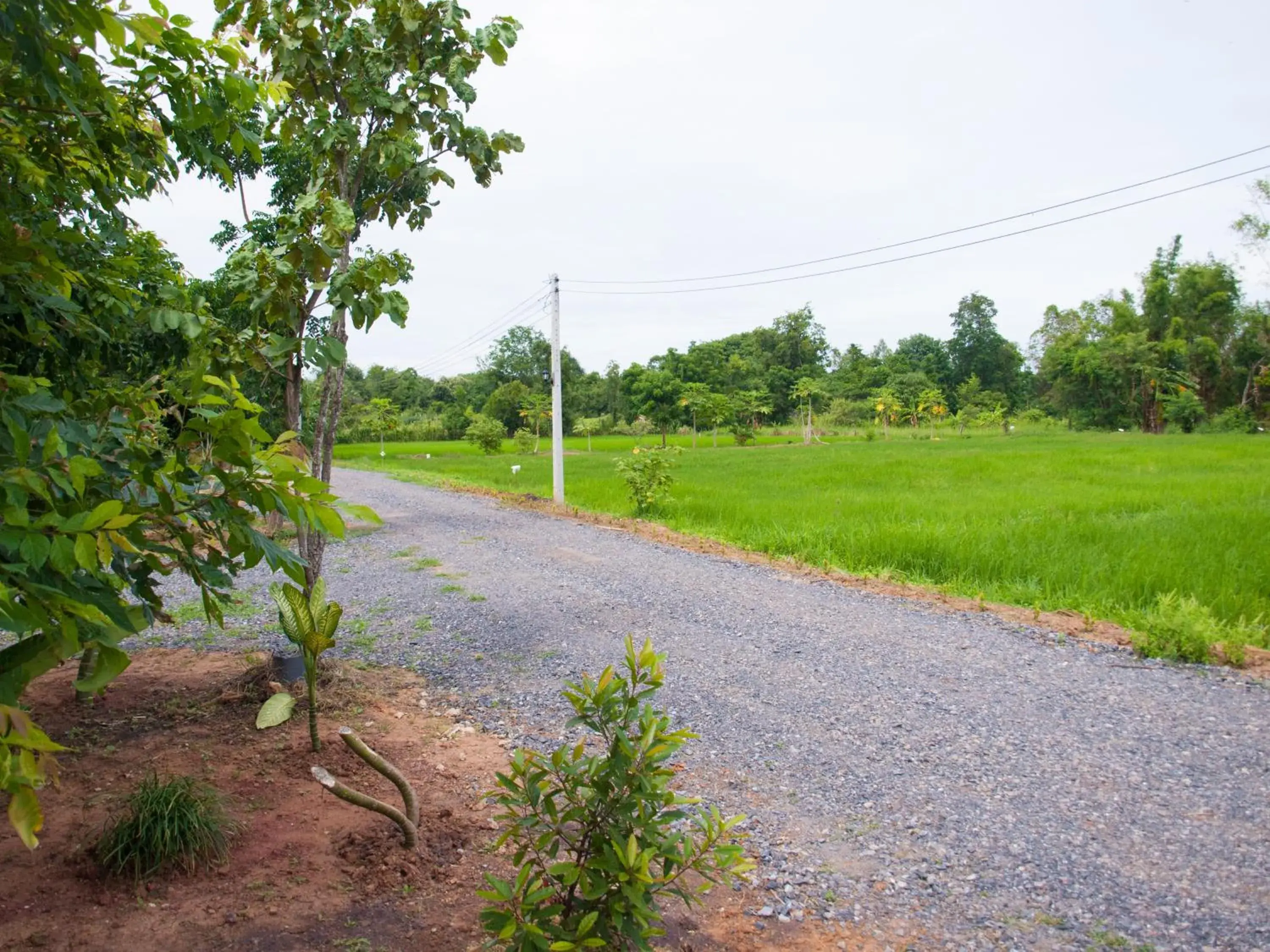 Jamsai Resort Jamsai Resort