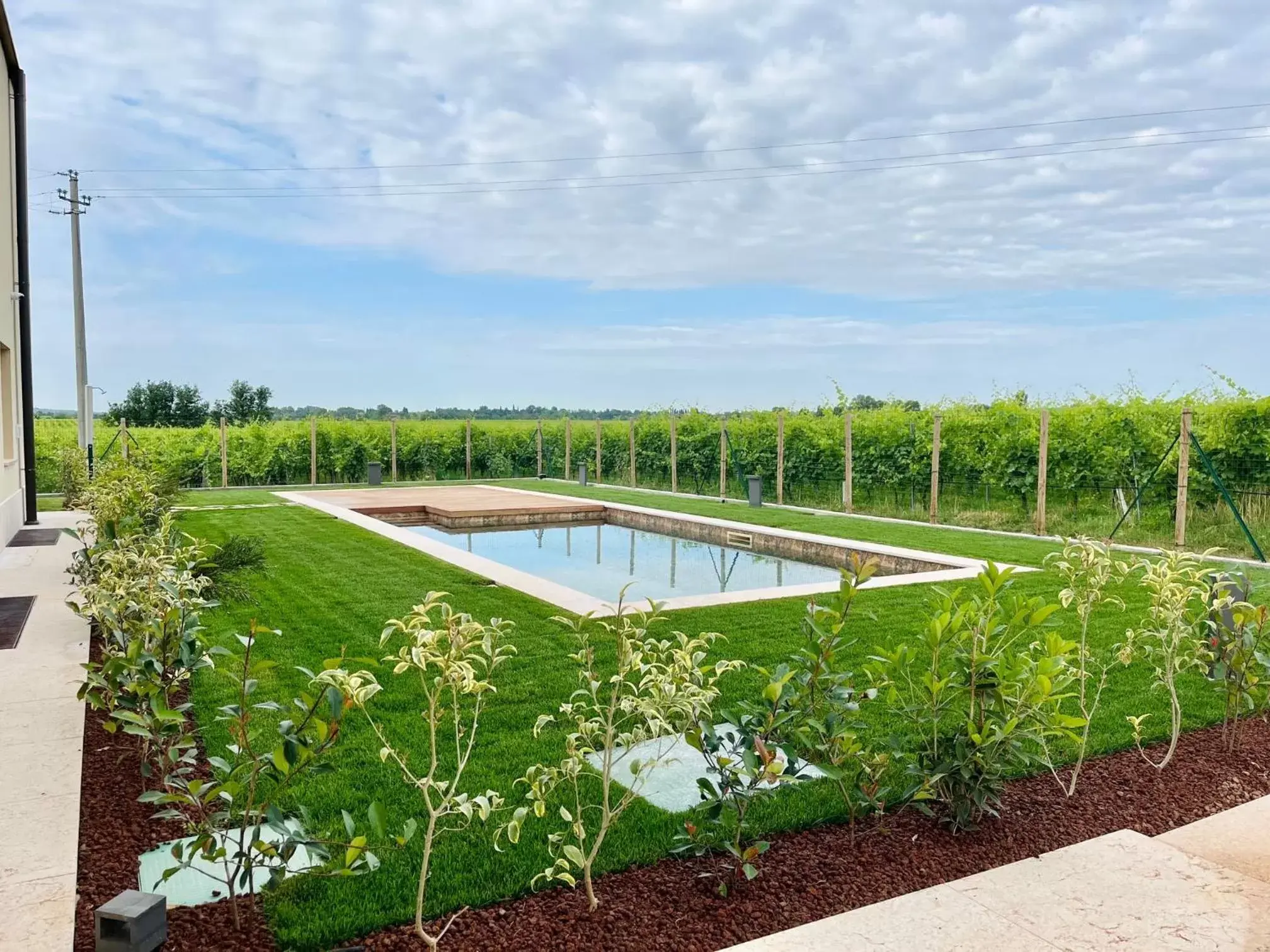 Garden, Swimming Pool in B&B Il Vigneto