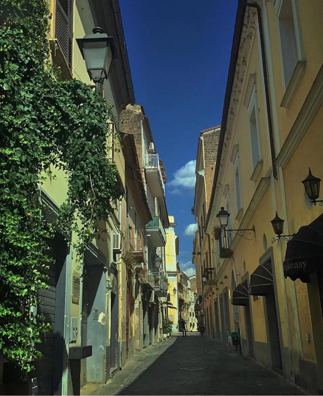 Neighborhood in Momy Home