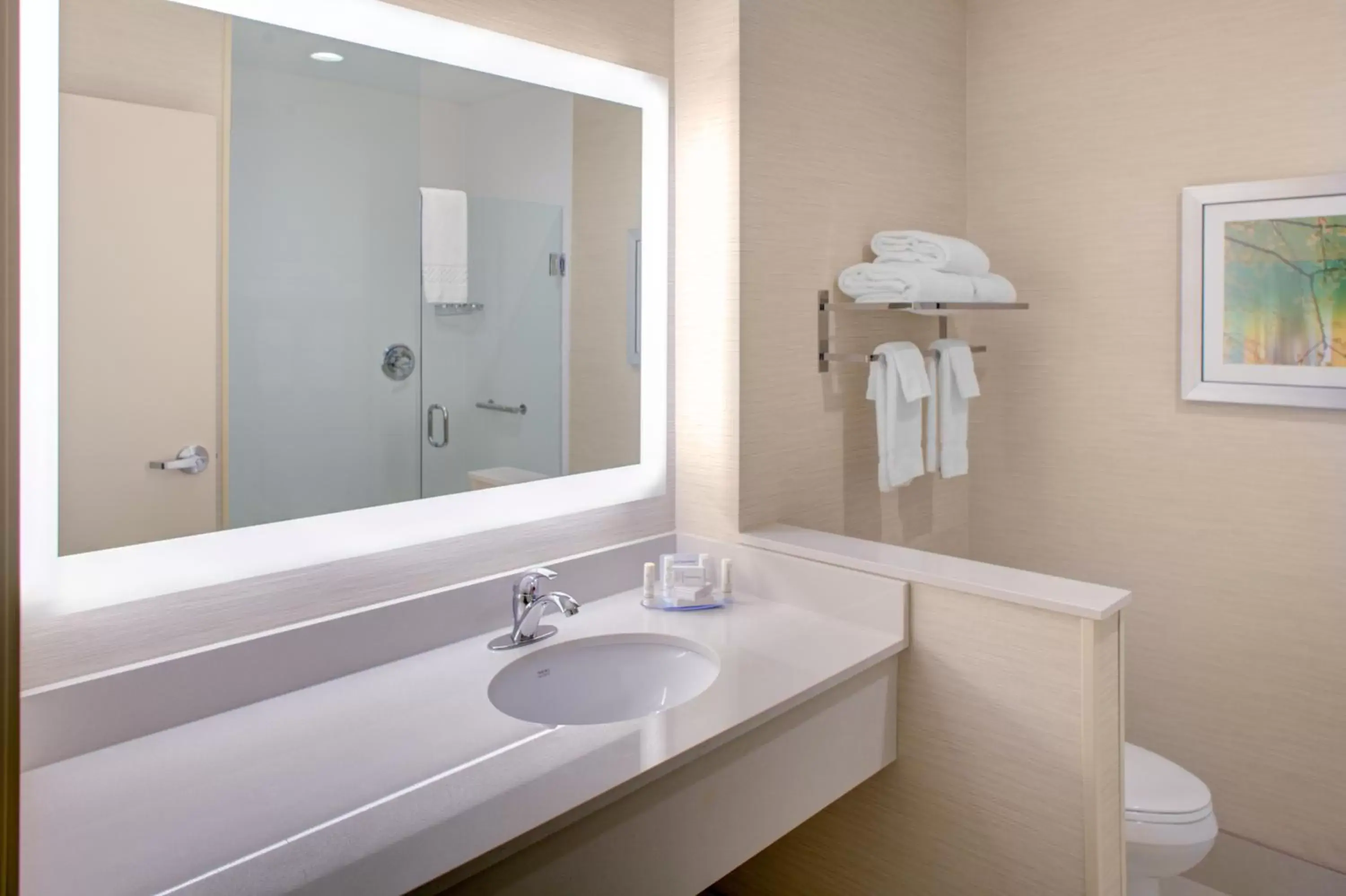 Bathroom in Fairfield Inn & Suites by Marriott Detroit Canton