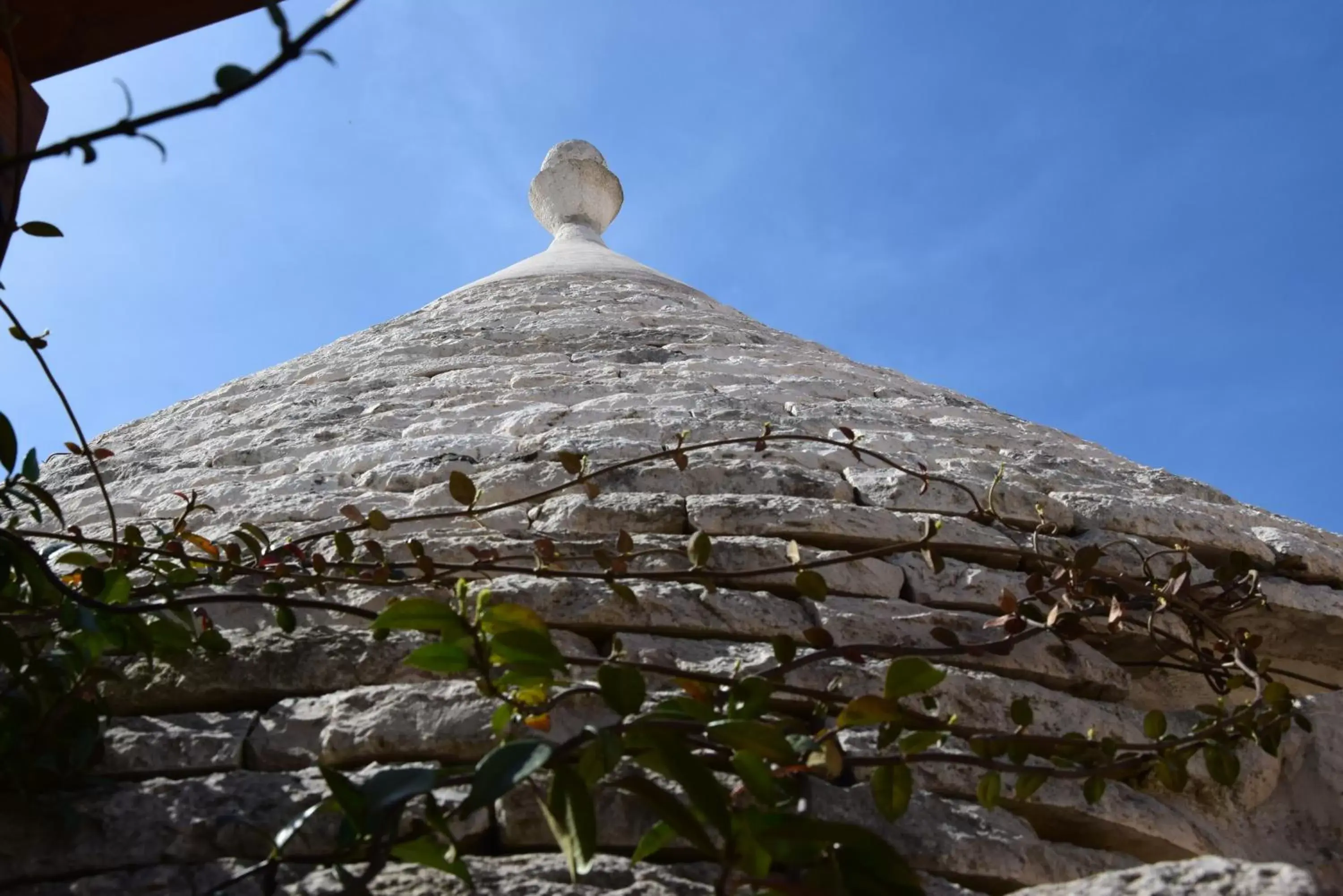 View (from property/room) in Quei Trulli Divini