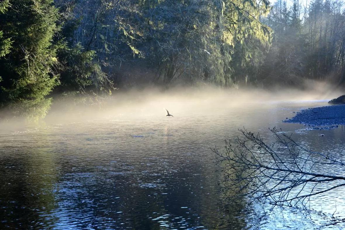 Natural landscape in Pioneer Inn by the River