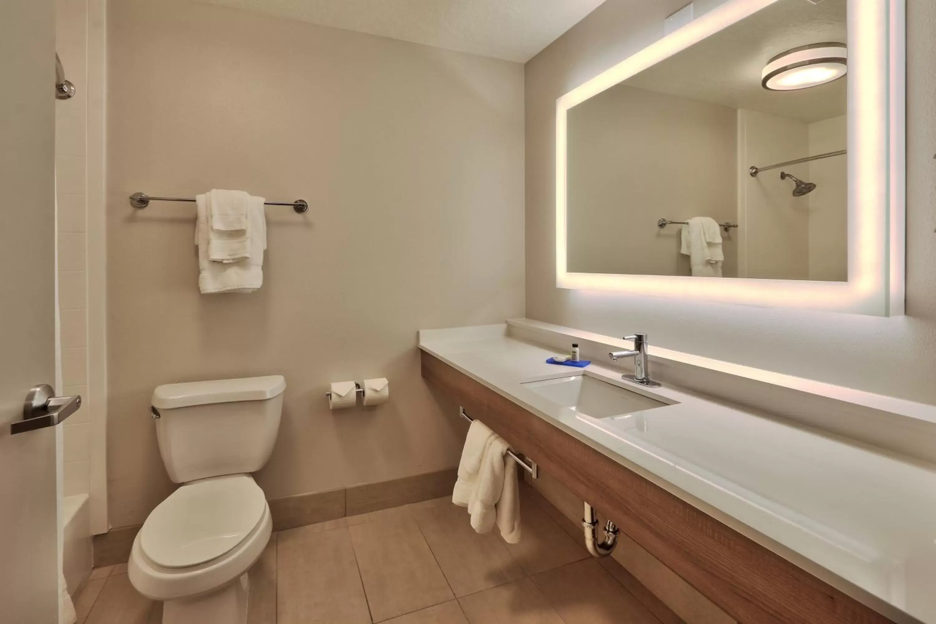 Bathroom in Holiday Inn Express Socorro, an IHG Hotel
