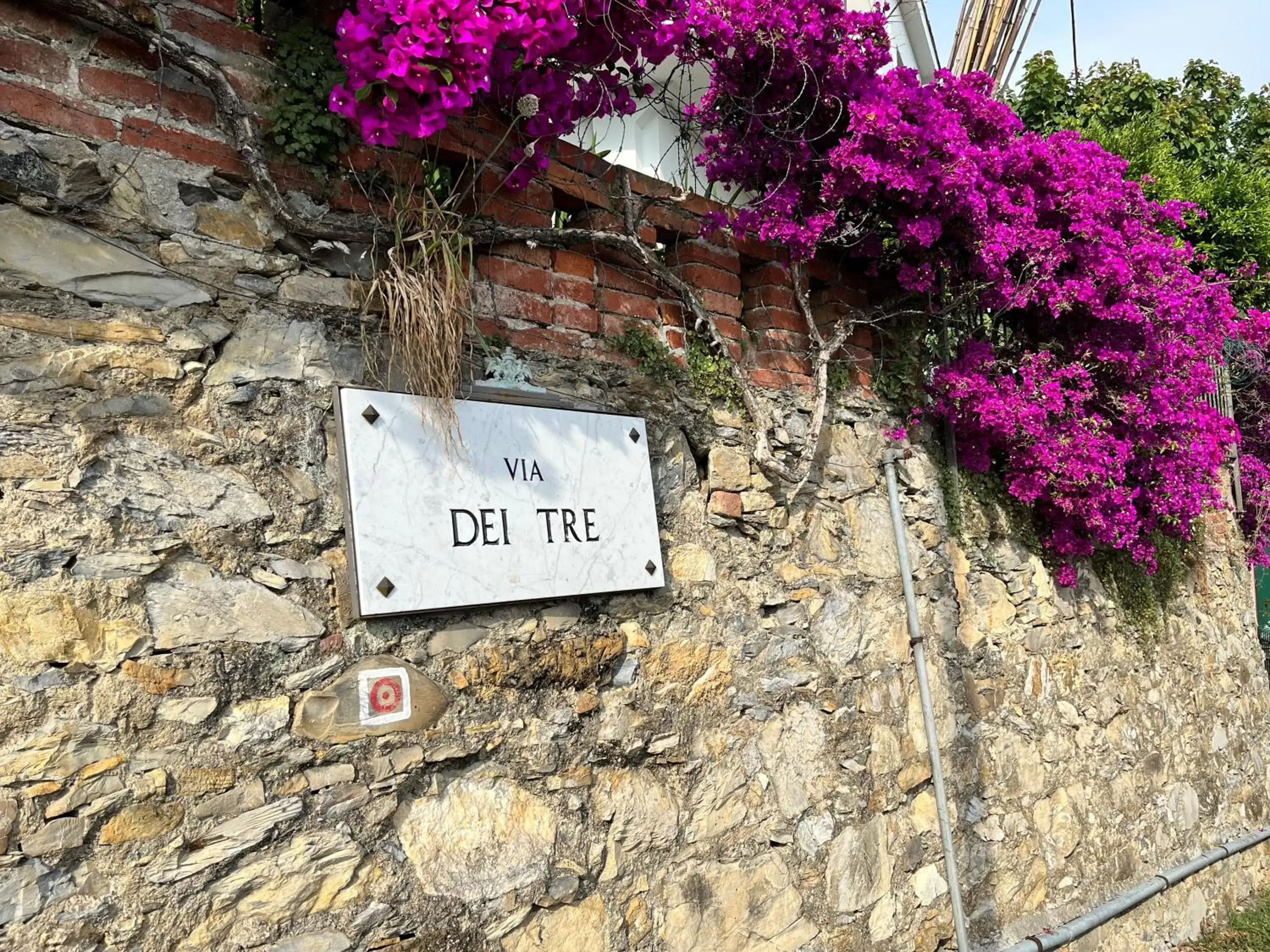 Street view in SALOTTO SUL MARE