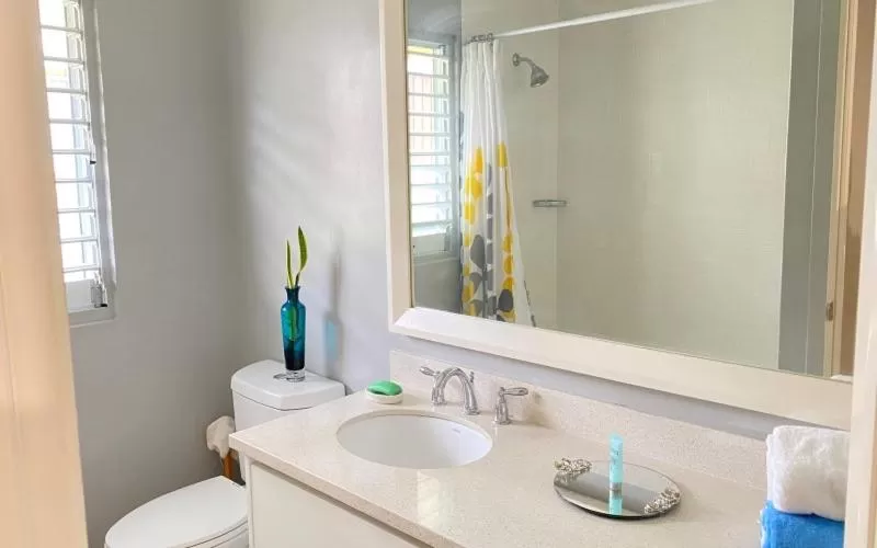 Bathroom in Jamnick Vacation Rentals - Richmond, St Ann, Jamaica