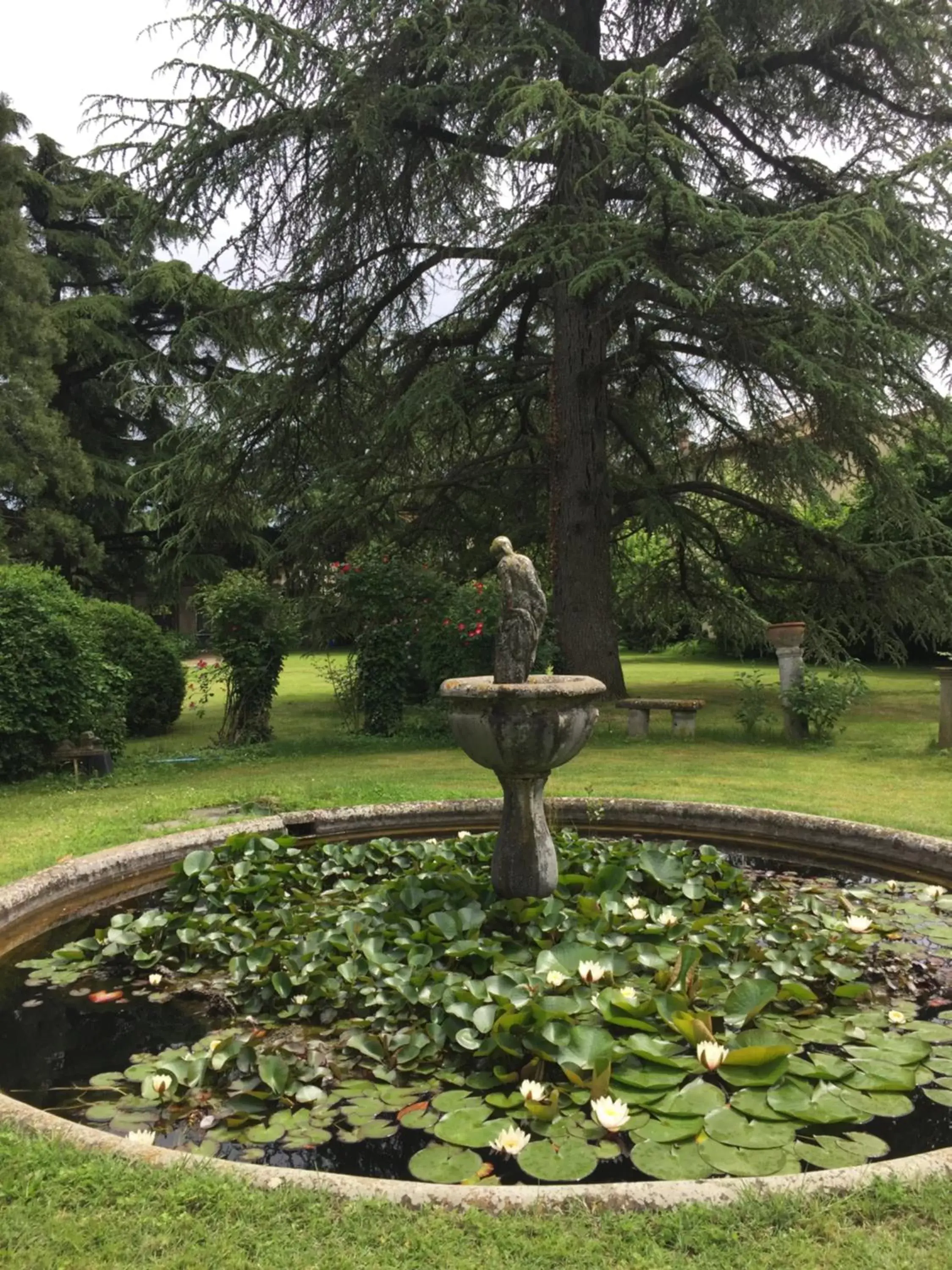 Garden view, Garden in B&B Villa al Parco