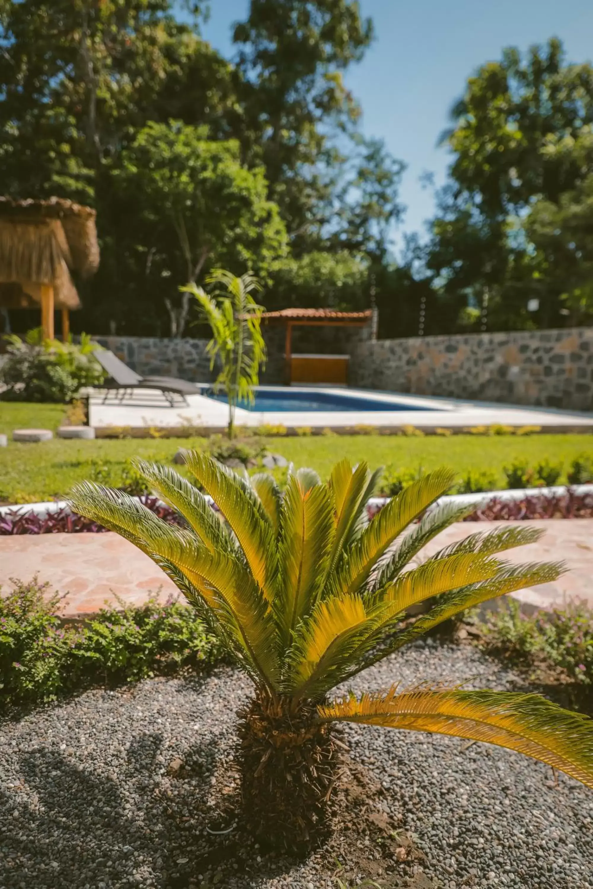 Swimming Pool in Solez Zihuatanejo