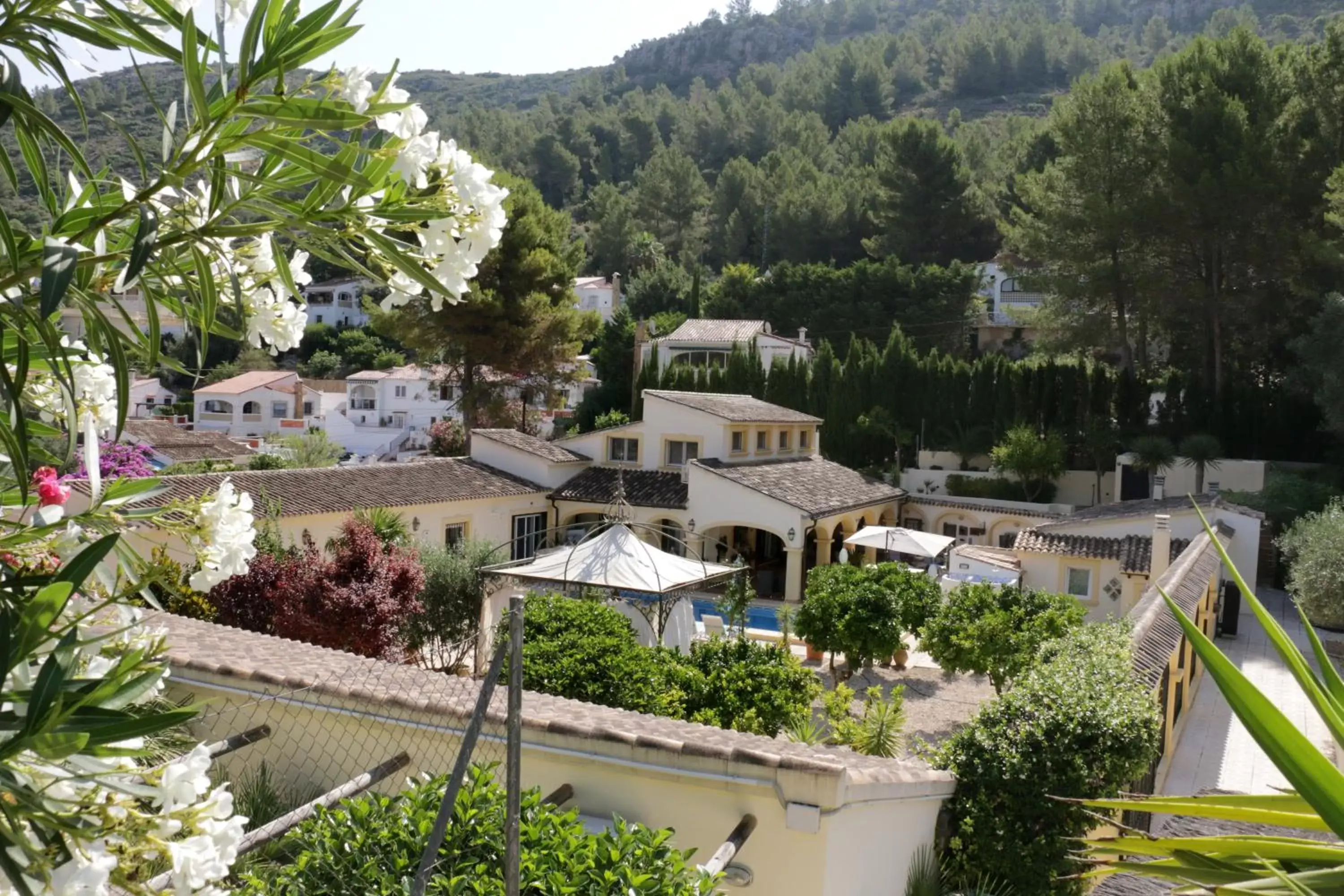 Bird's eye view, Bird's-eye View in CASA-ORBETA