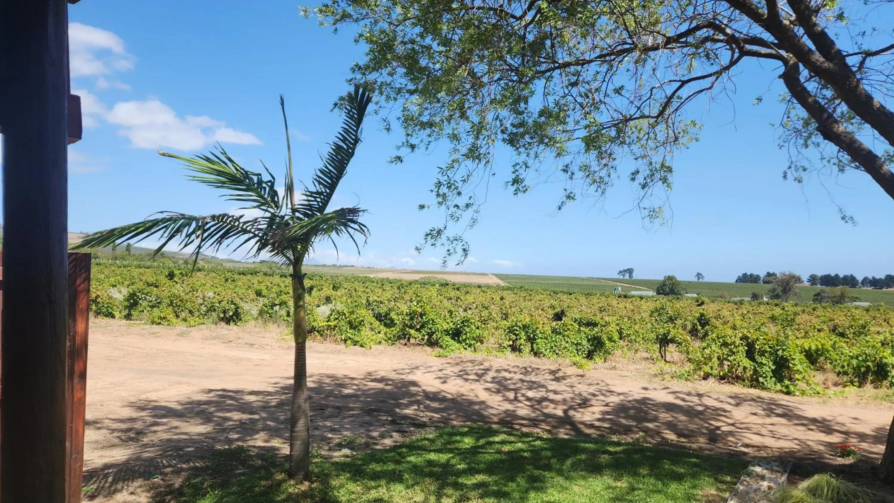 View (from property/room) in Eikendal Lodge