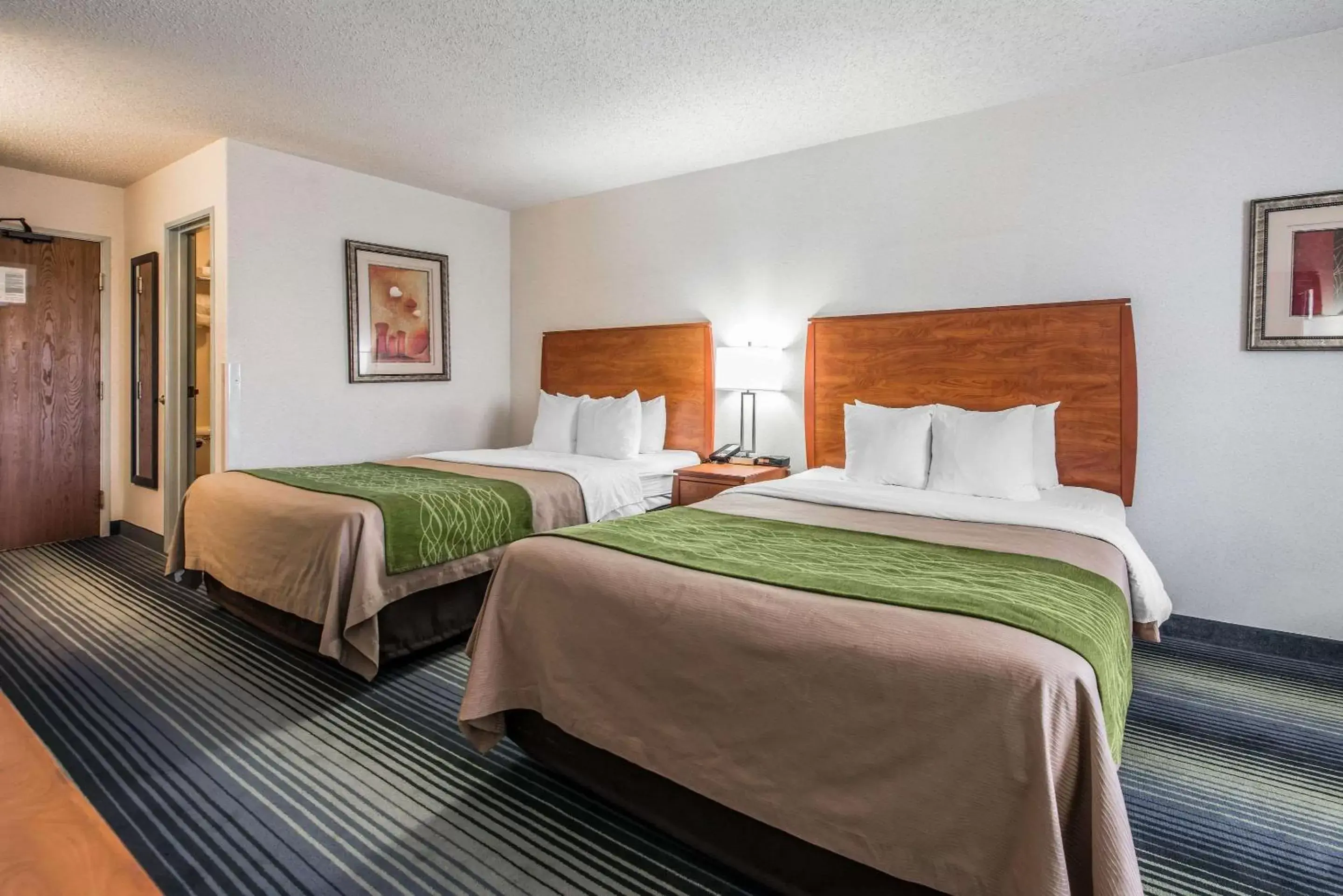 Photo of the whole room, Bed in Quality Inn Denver Westminster
