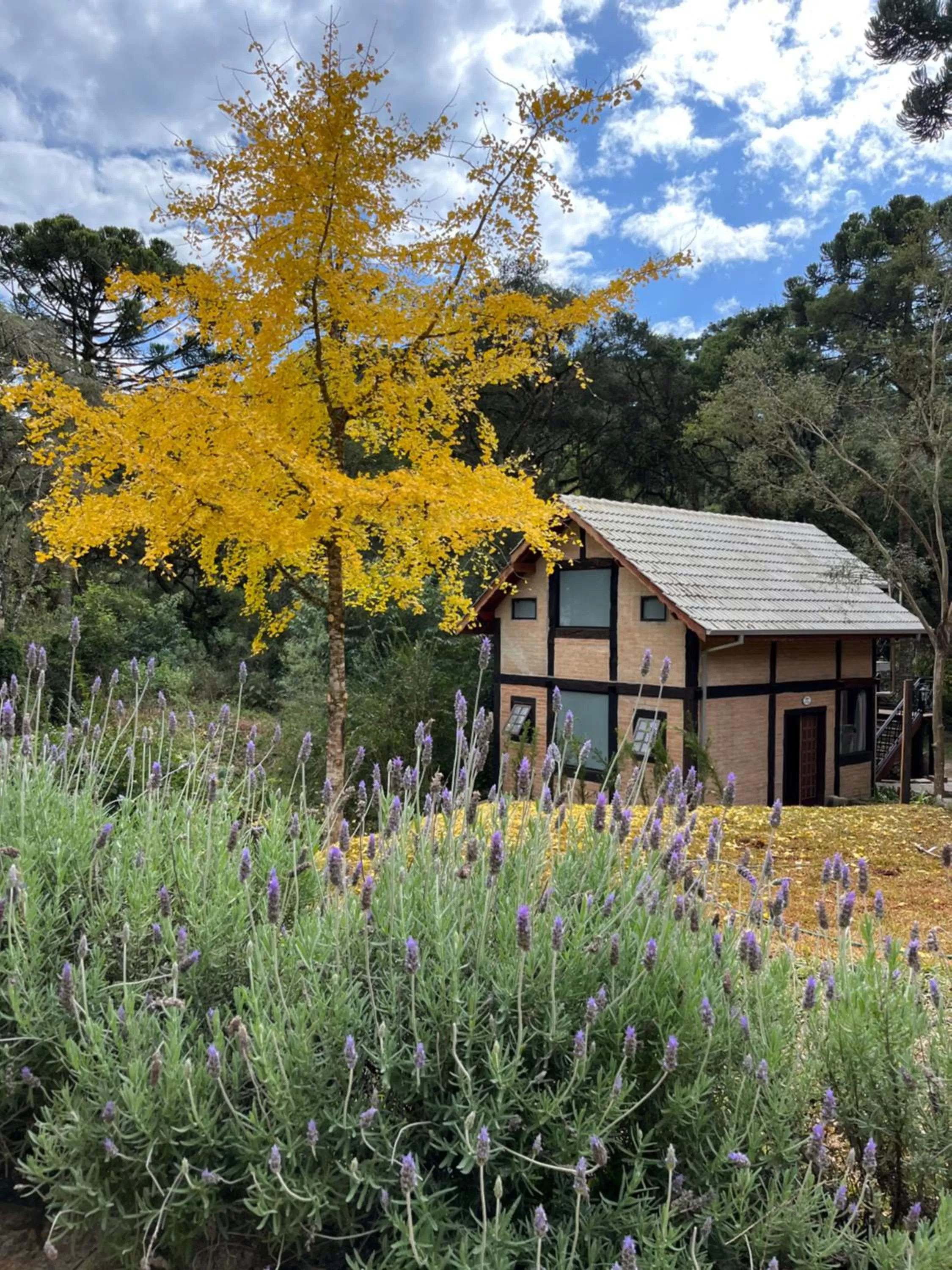 Garden, Property Building in Pousada Dona Bendita