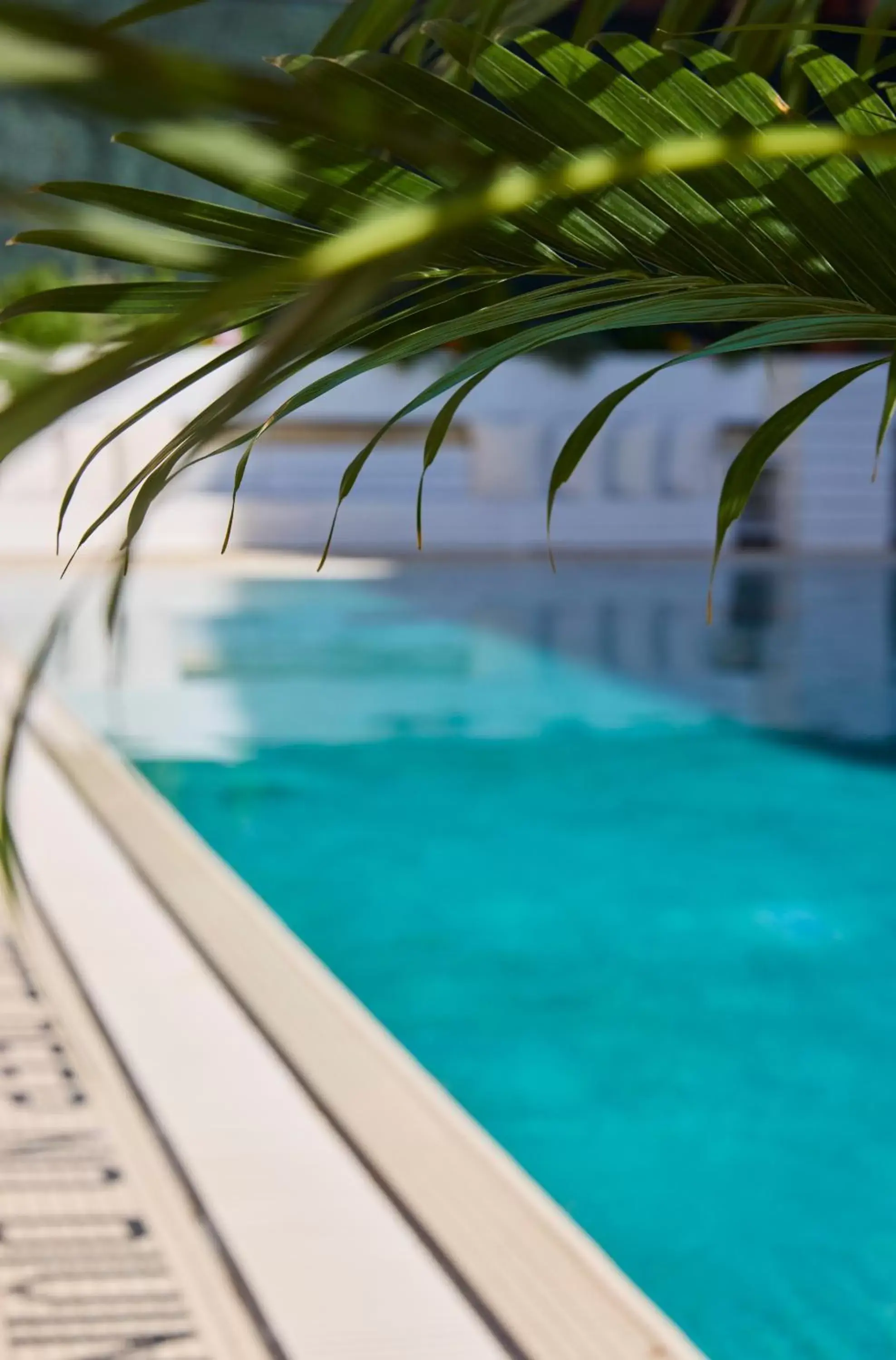 Swimming pool in CODA Williamsburg Swimming pool in CODA Williamsburg