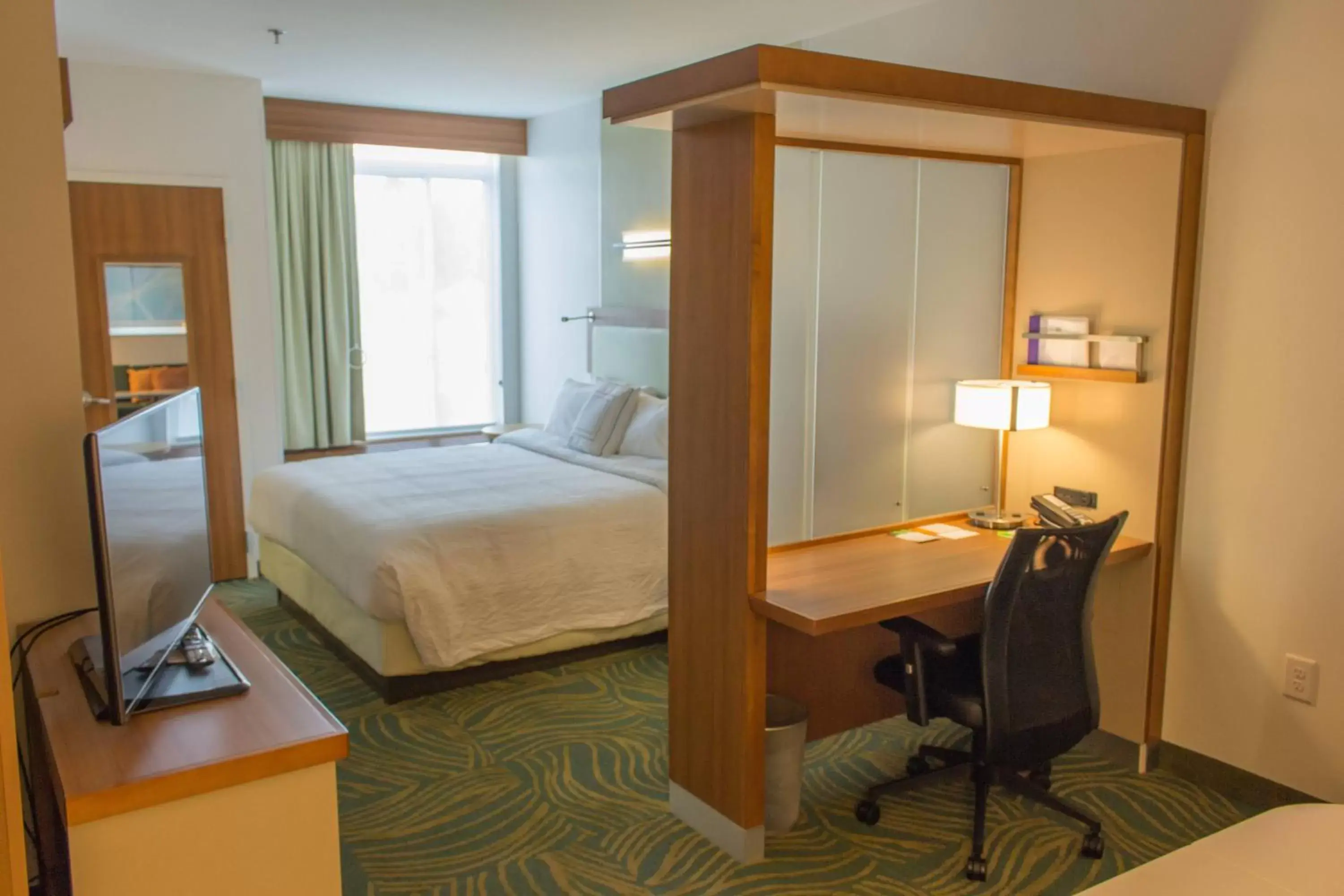 Photo of the whole room, Bed in SpringHill Suites by Marriott Sumter