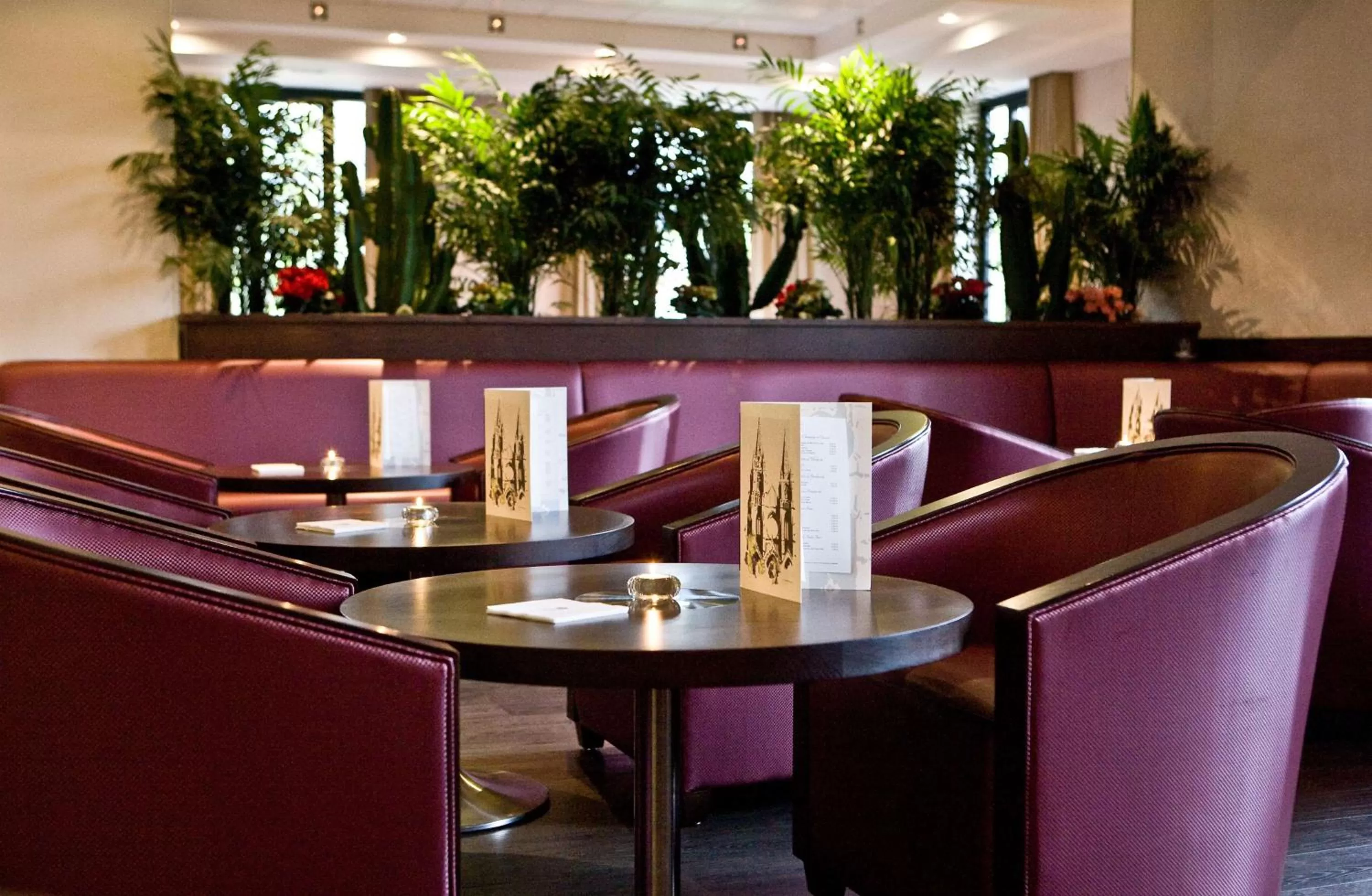 Spa and wellness centre/facilities in Best Western Plus Hotel des Francs