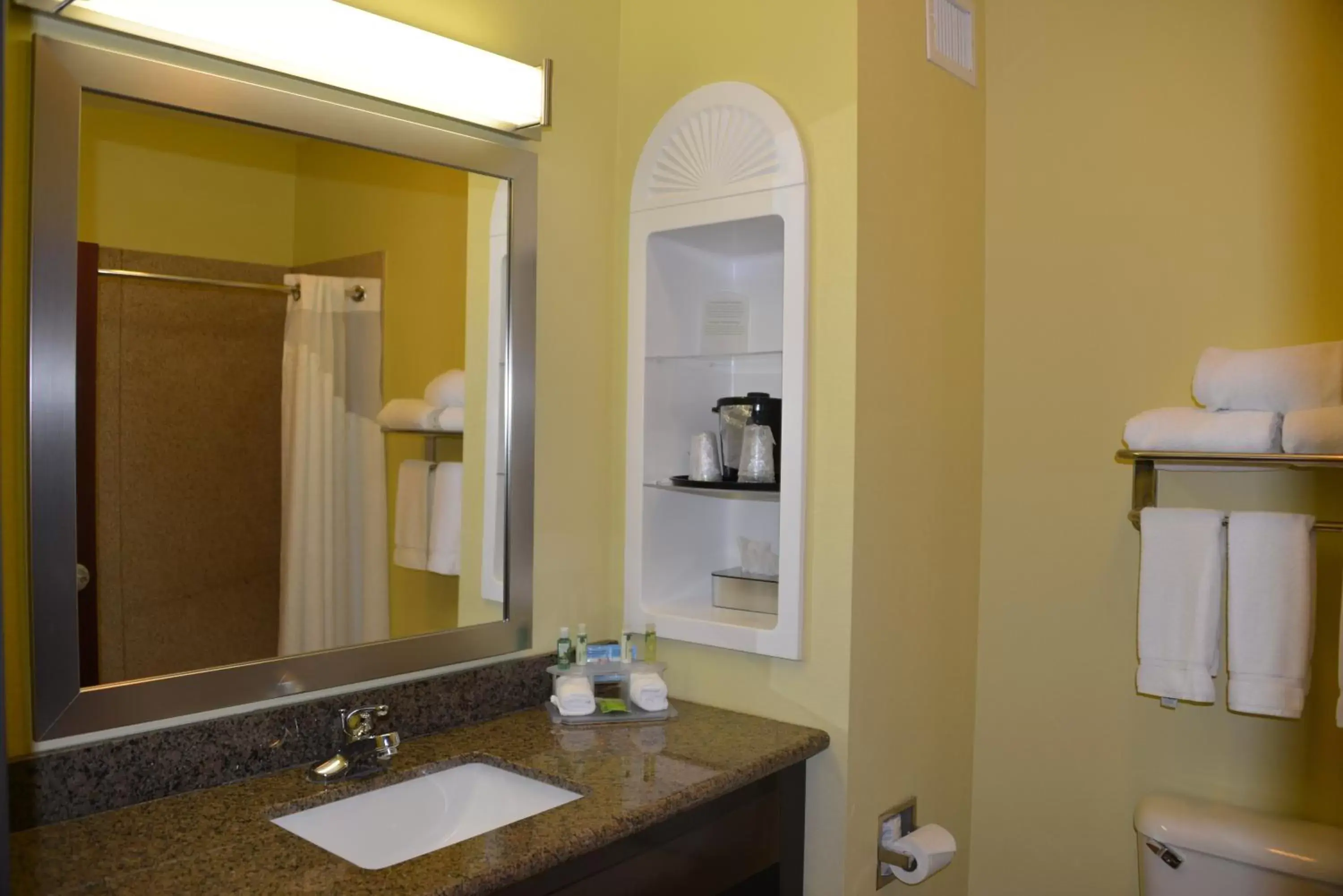 Bathroom in Holiday Inn Express Hotel & Suites Dumas, an IHG Hotel