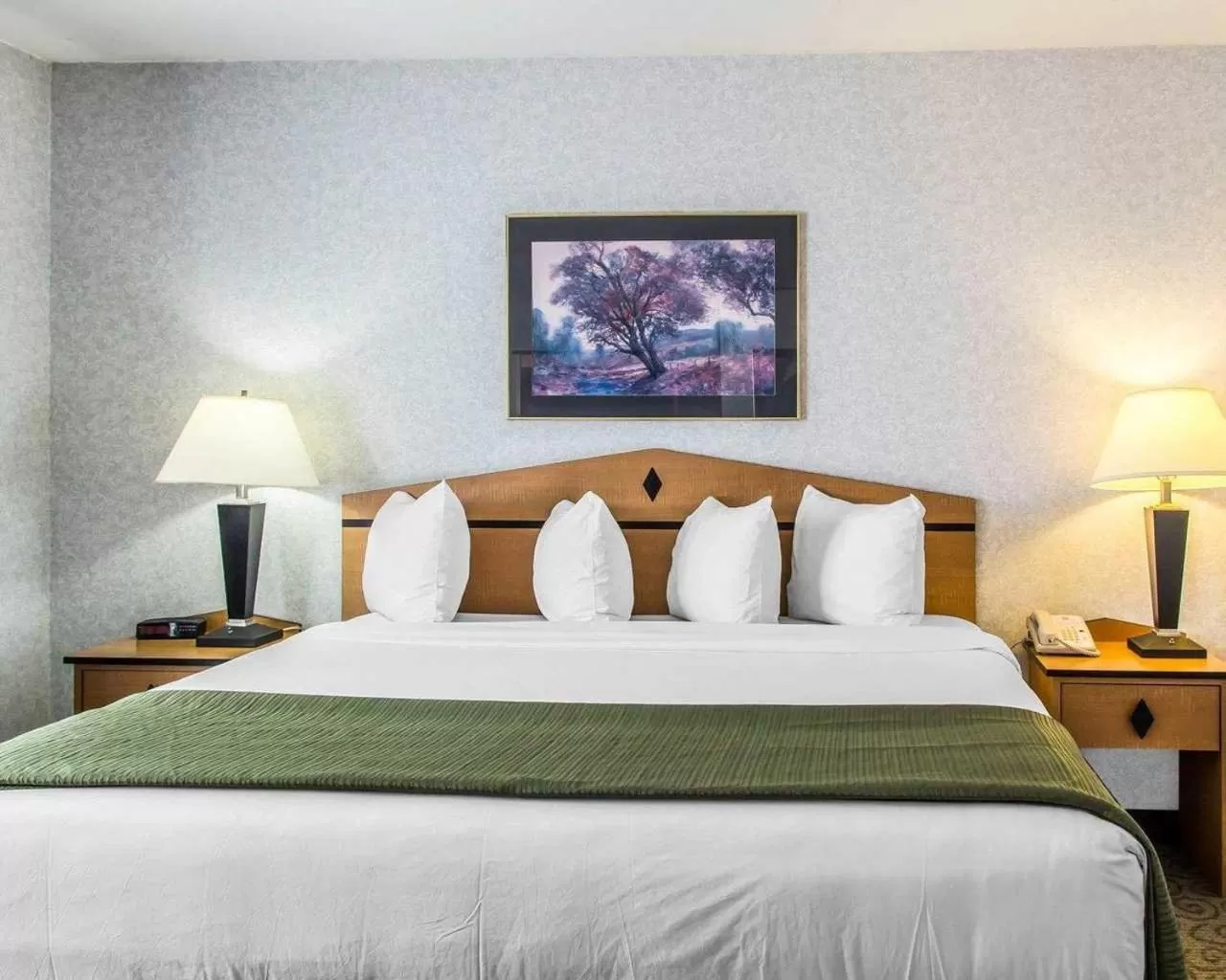 King Room - Non-Smoking in Quality Inn & Suites Denver Airport - Gateway Park