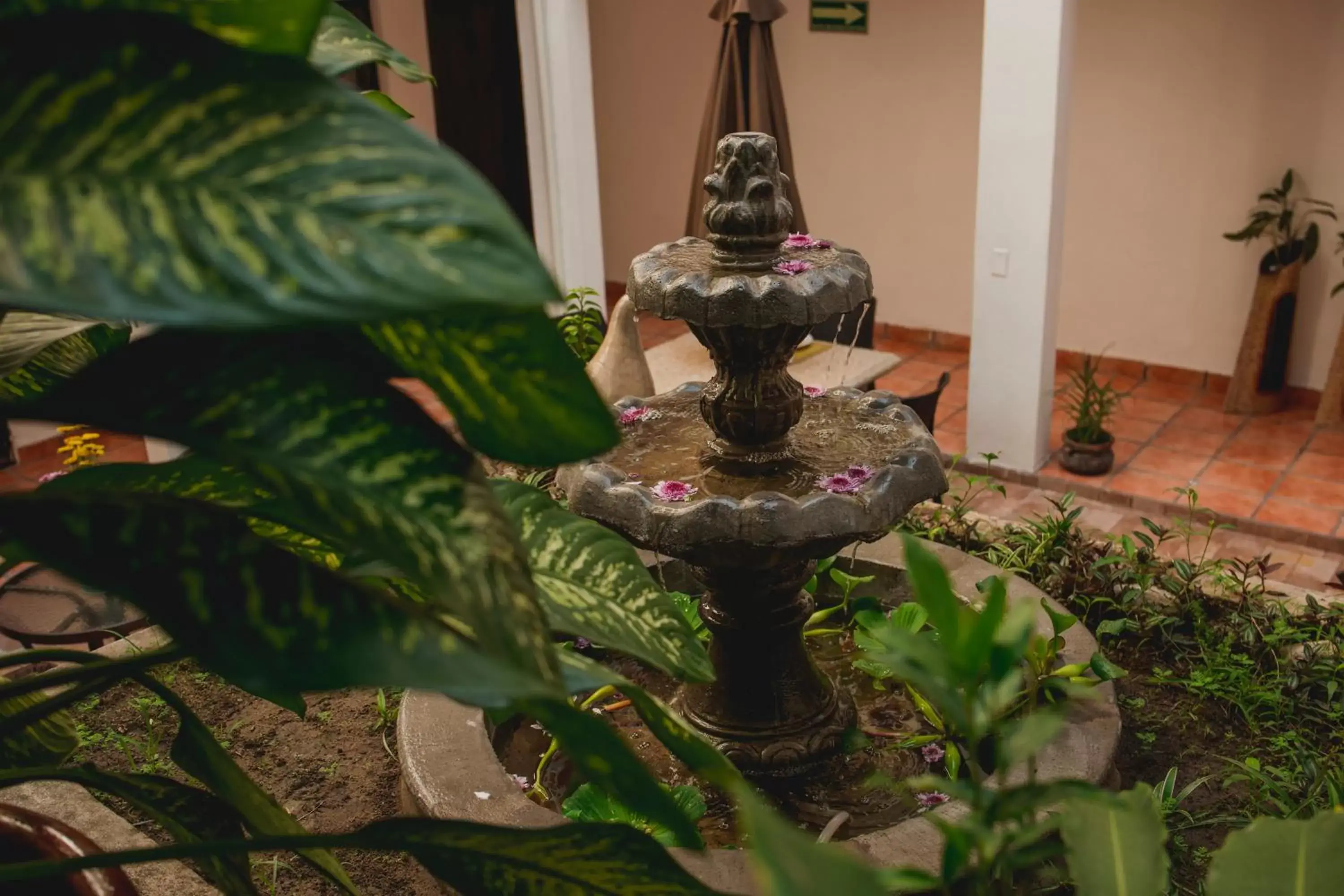 Patio in Posada Kin