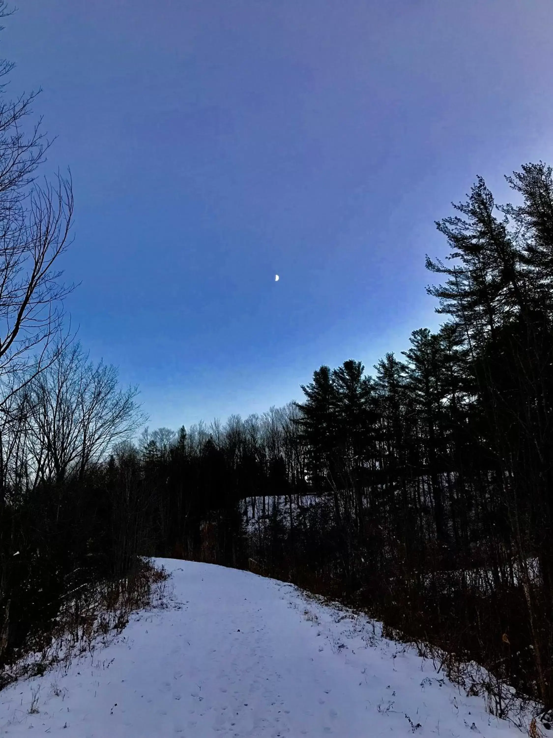 Natural landscape, Winter in Auberge Tom B&B