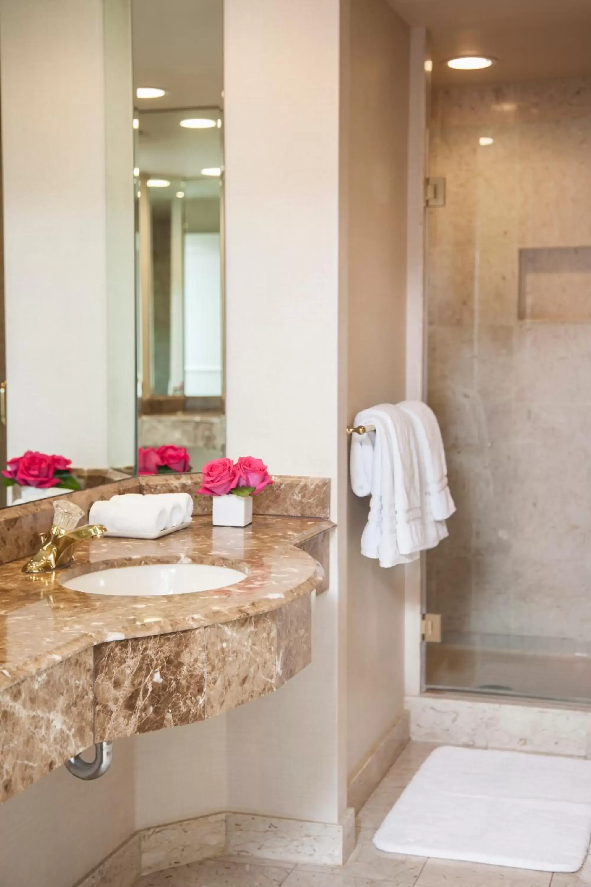 Bathroom in The Rittenhouse Hotel