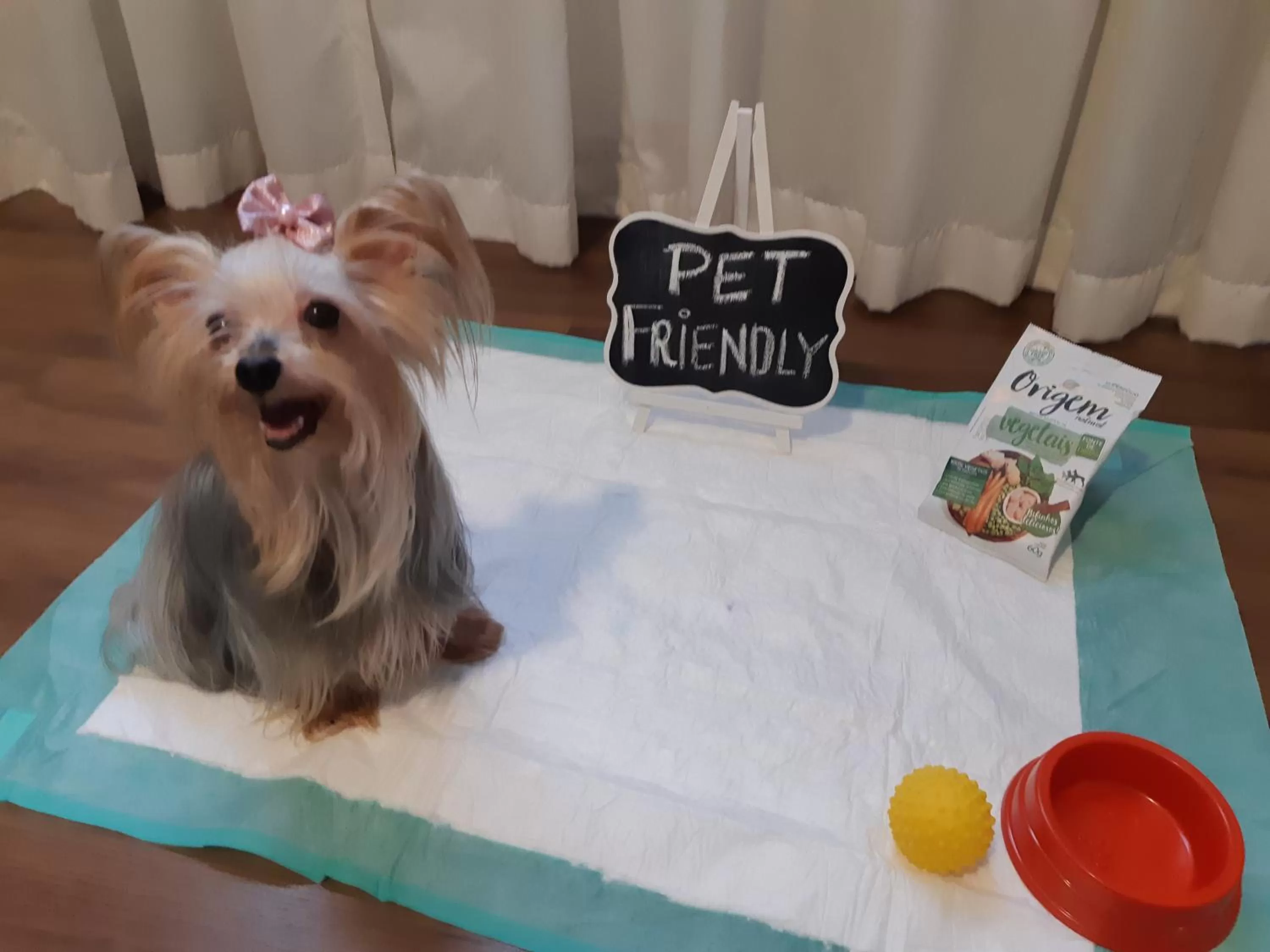 Pets in Comfort Mogi Guaçu