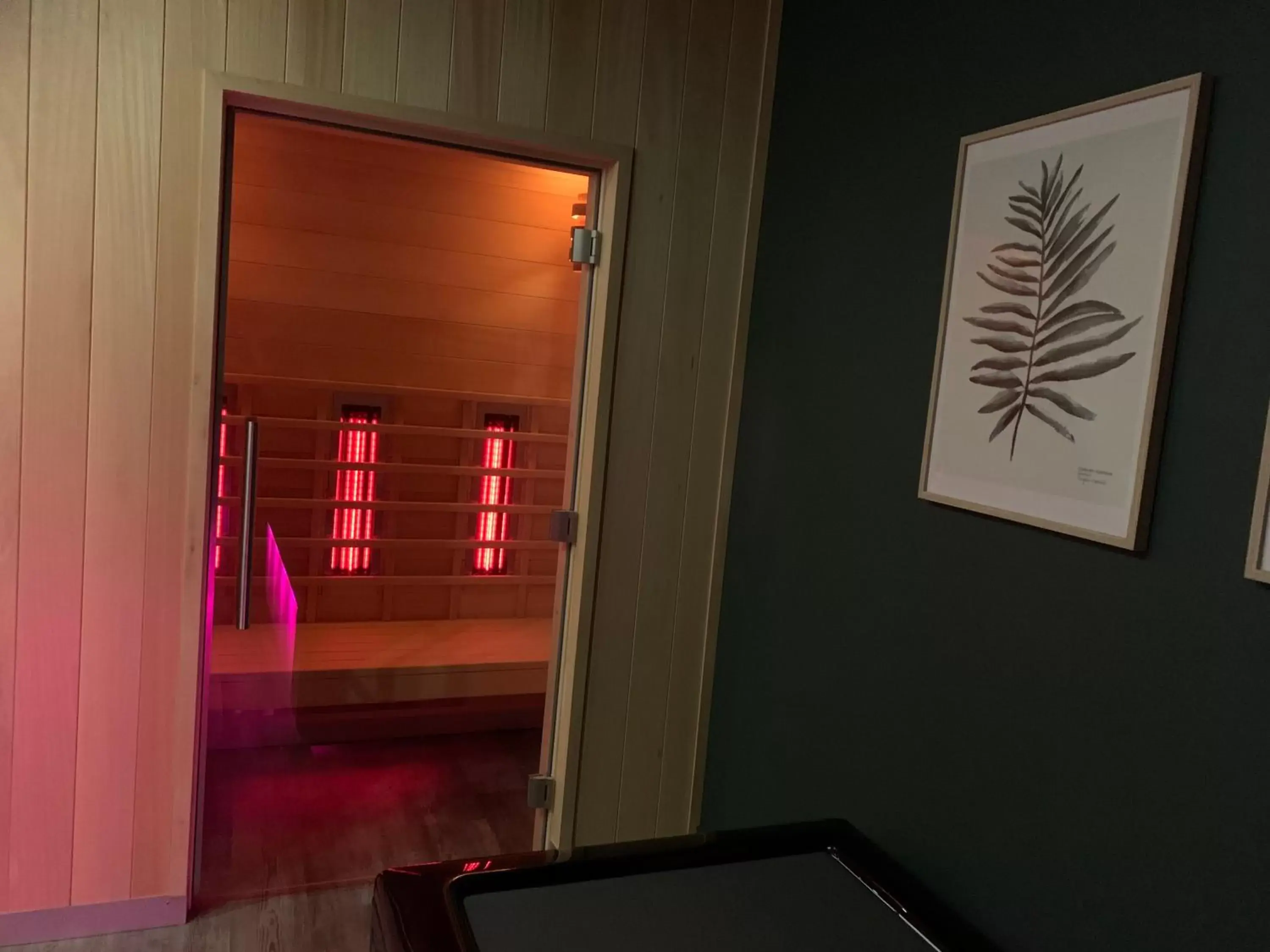 Sauna in BRIT HOTEL & SPA Le Roc au Chien