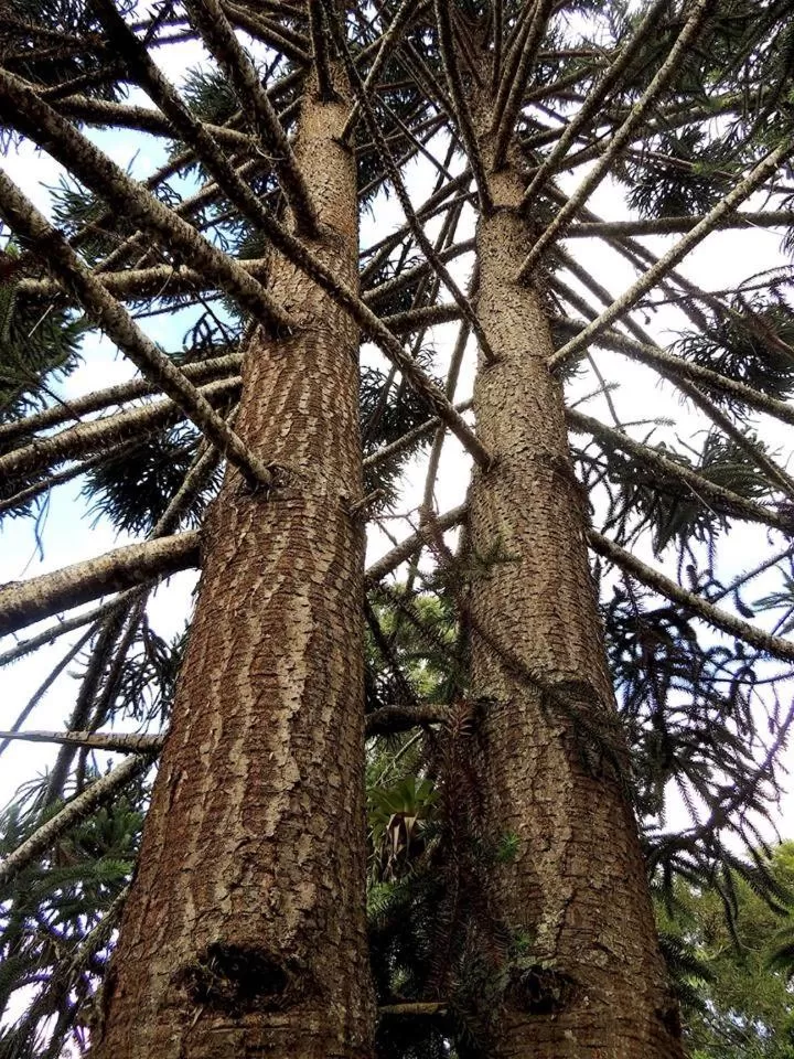 Pousada R.N.C. Nosso Paraíso