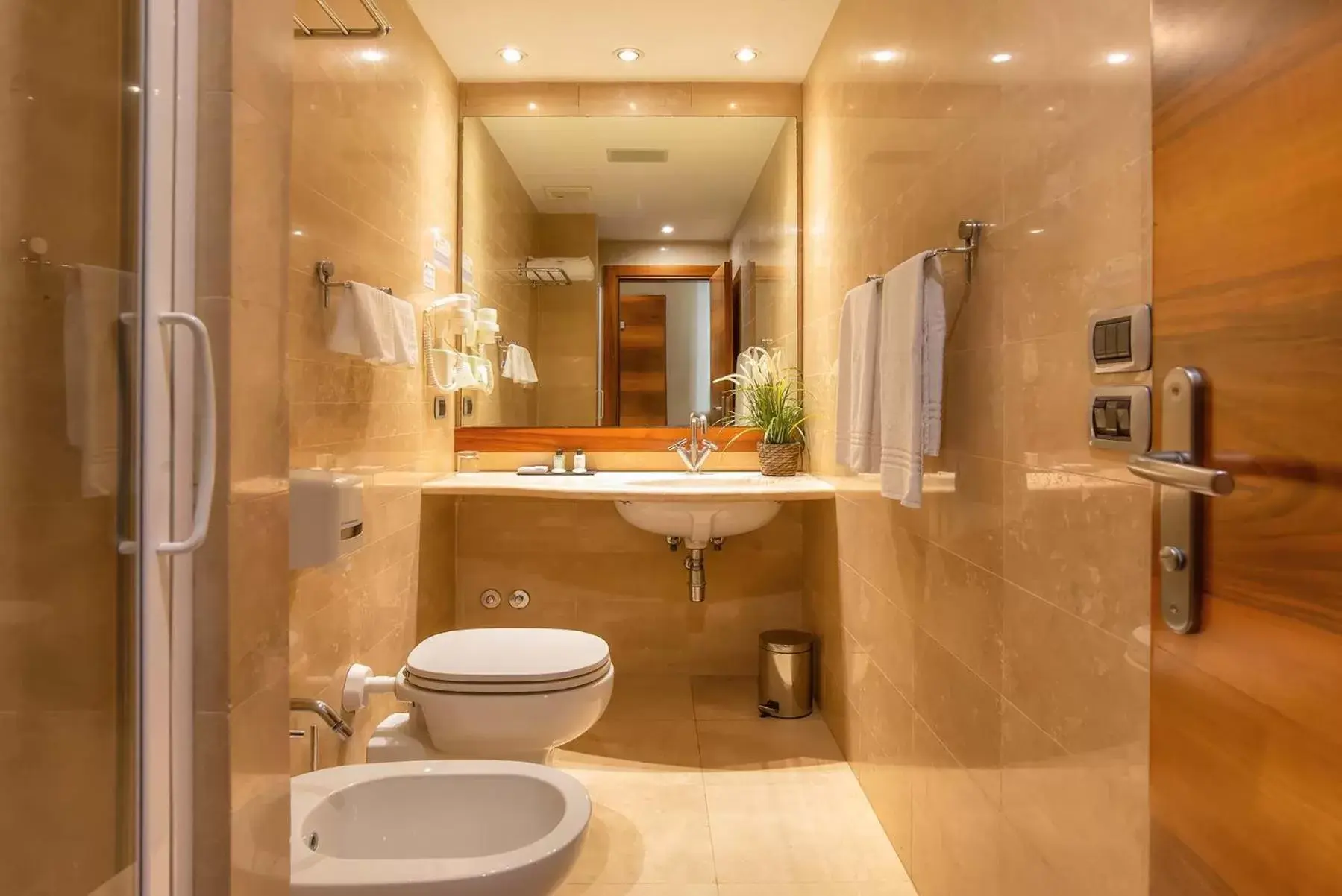 Bathroom in Hotel Tritone