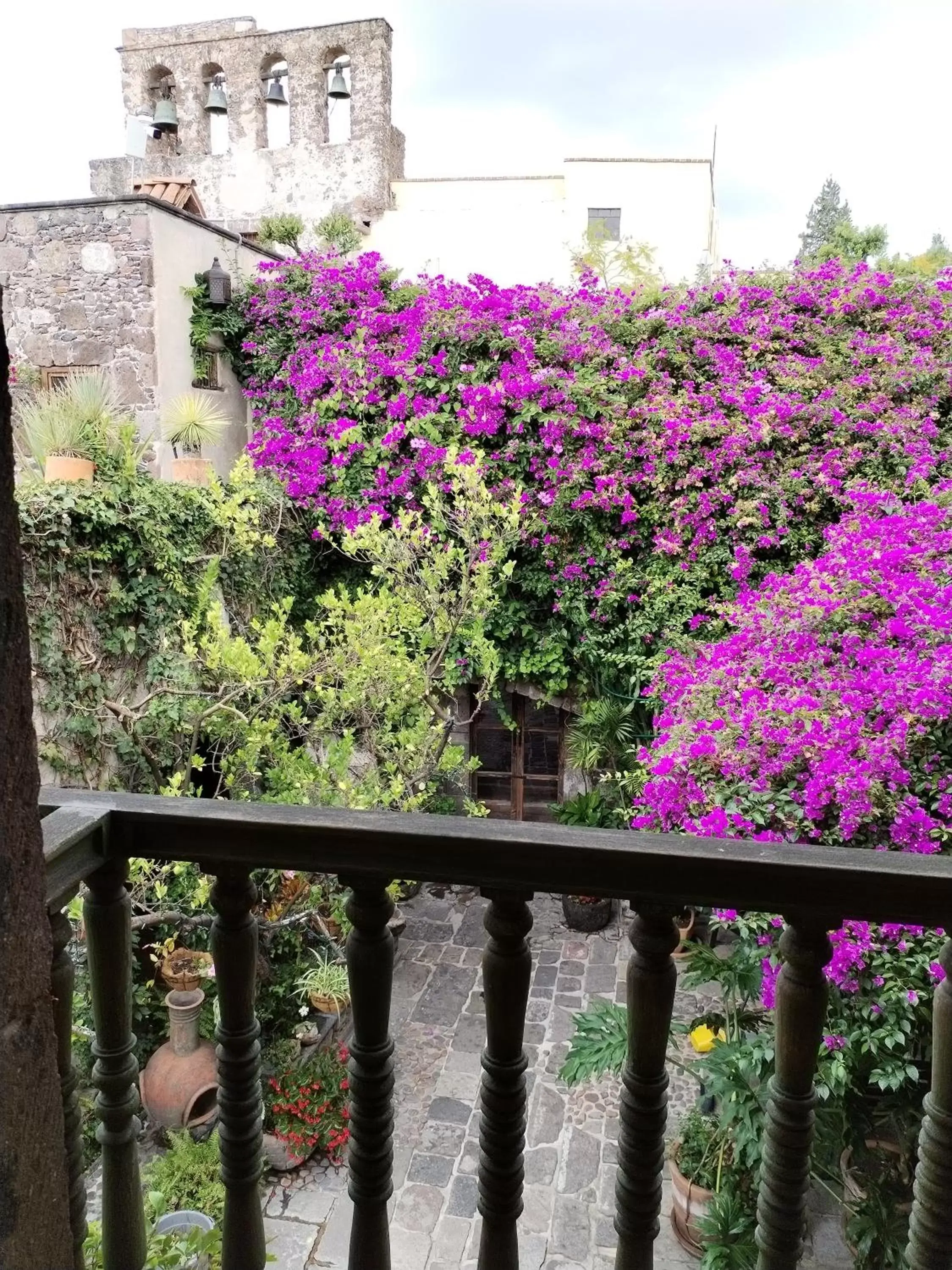 Garden view in Hacienda Las Amantes