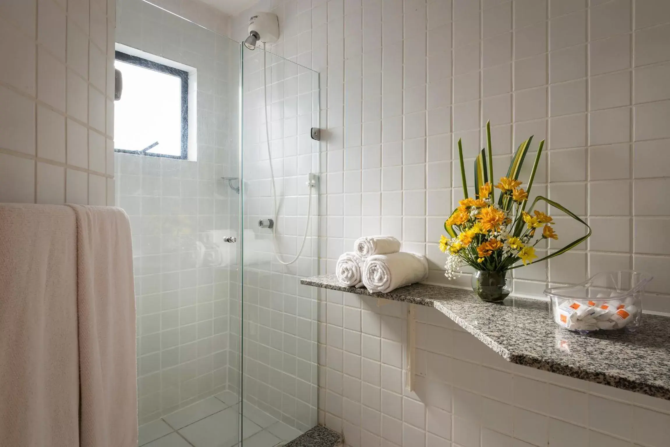 Shower, Bathroom in Hotel Executive Arrey