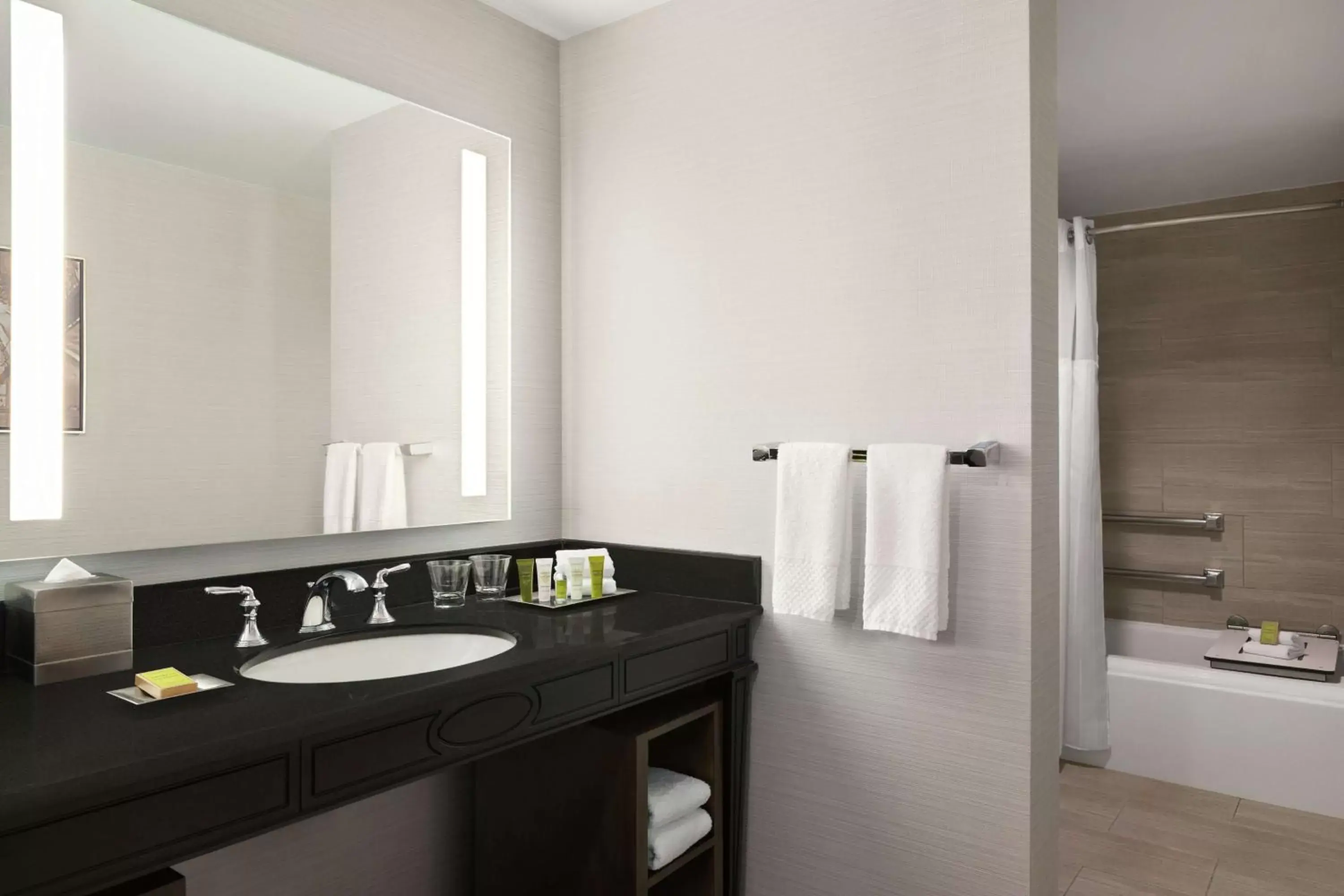 Bathroom in Hilton New Orleans / St. Charles Avenue Bathroom in Hilton New Orleans / St. Charles Avenue