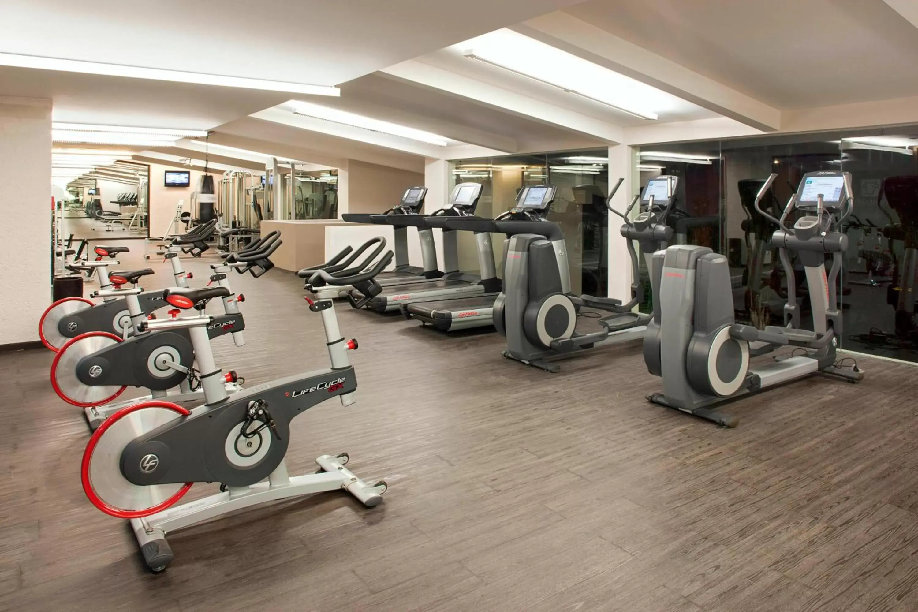 Fitness centre/facilities, Fitness Center/Facilities in Marriott Tuxtla Gutierrez Hotel