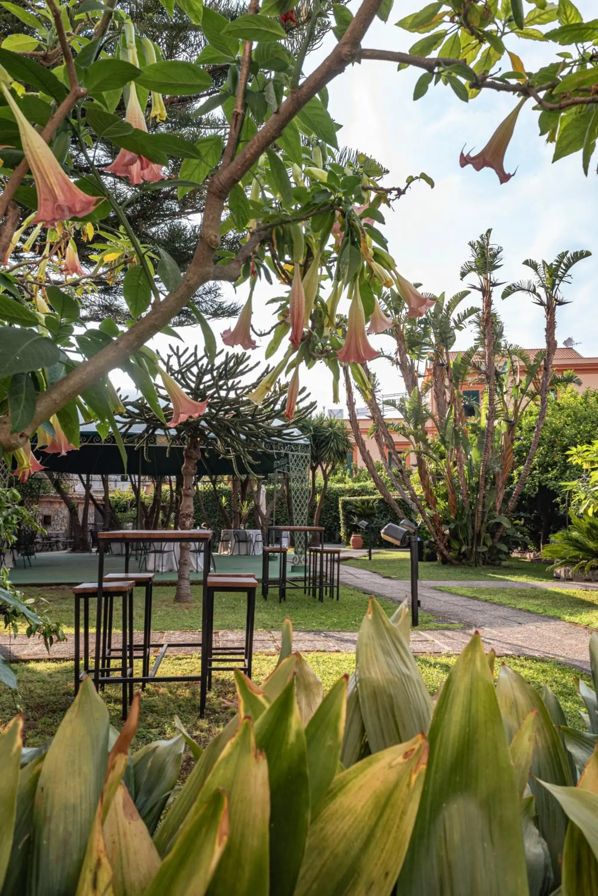 Garden in Aequa Hotel