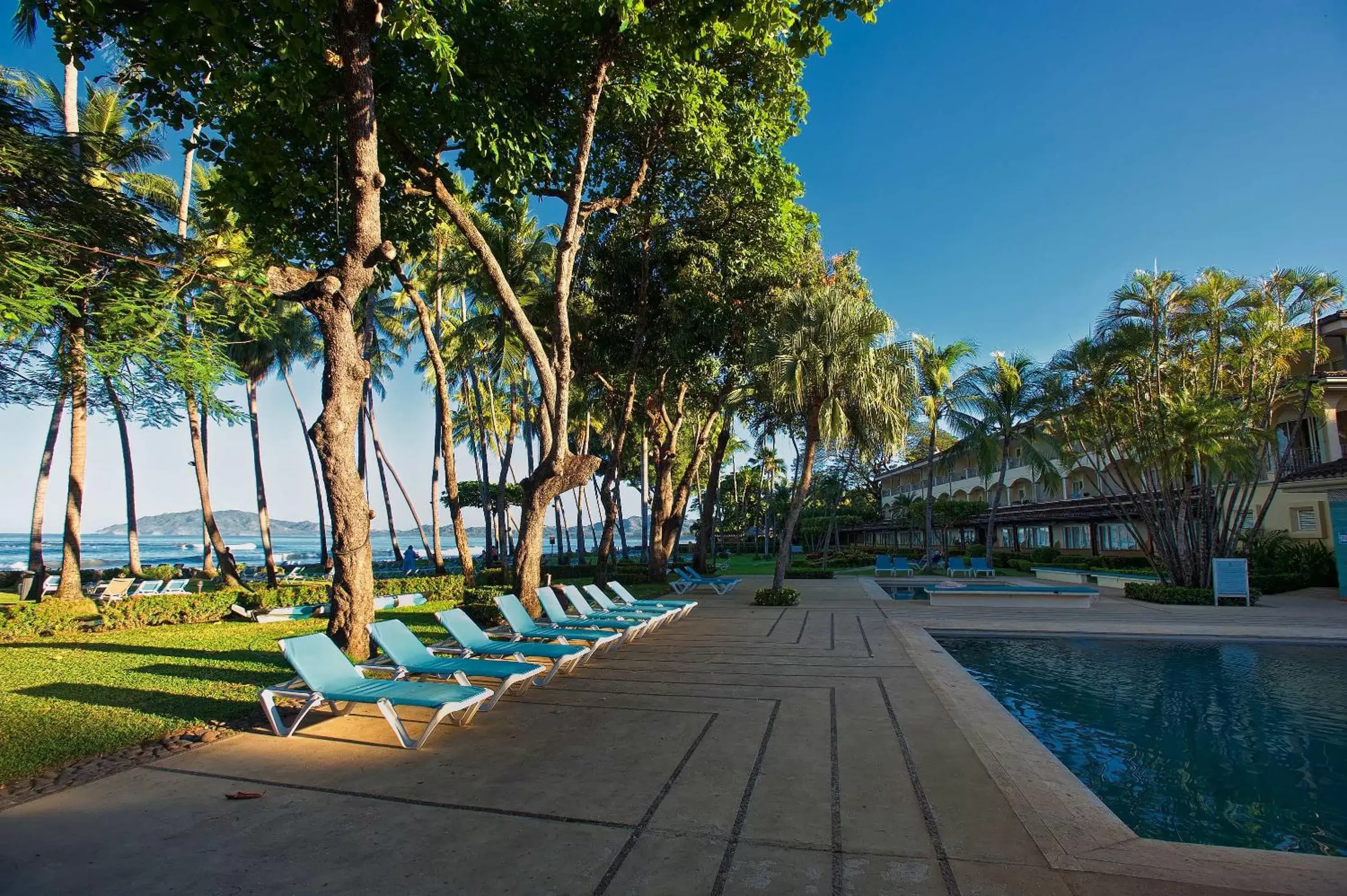 Garden, Swimming Pool in Hotel Tamarindo Diria Beach Resort