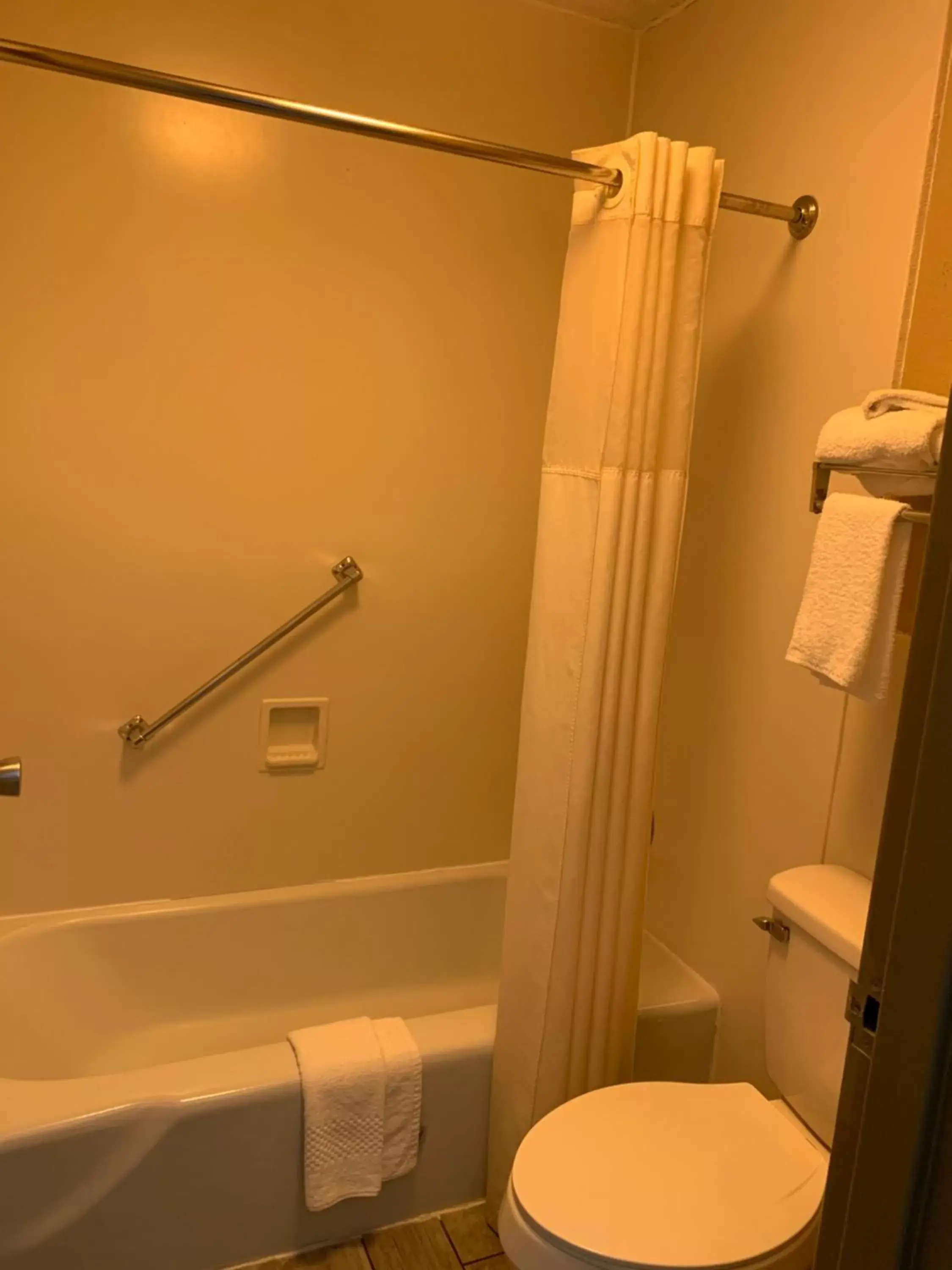 Toilet, Bathroom in Quality Inn & Suites Brooksville I-75/Dade City