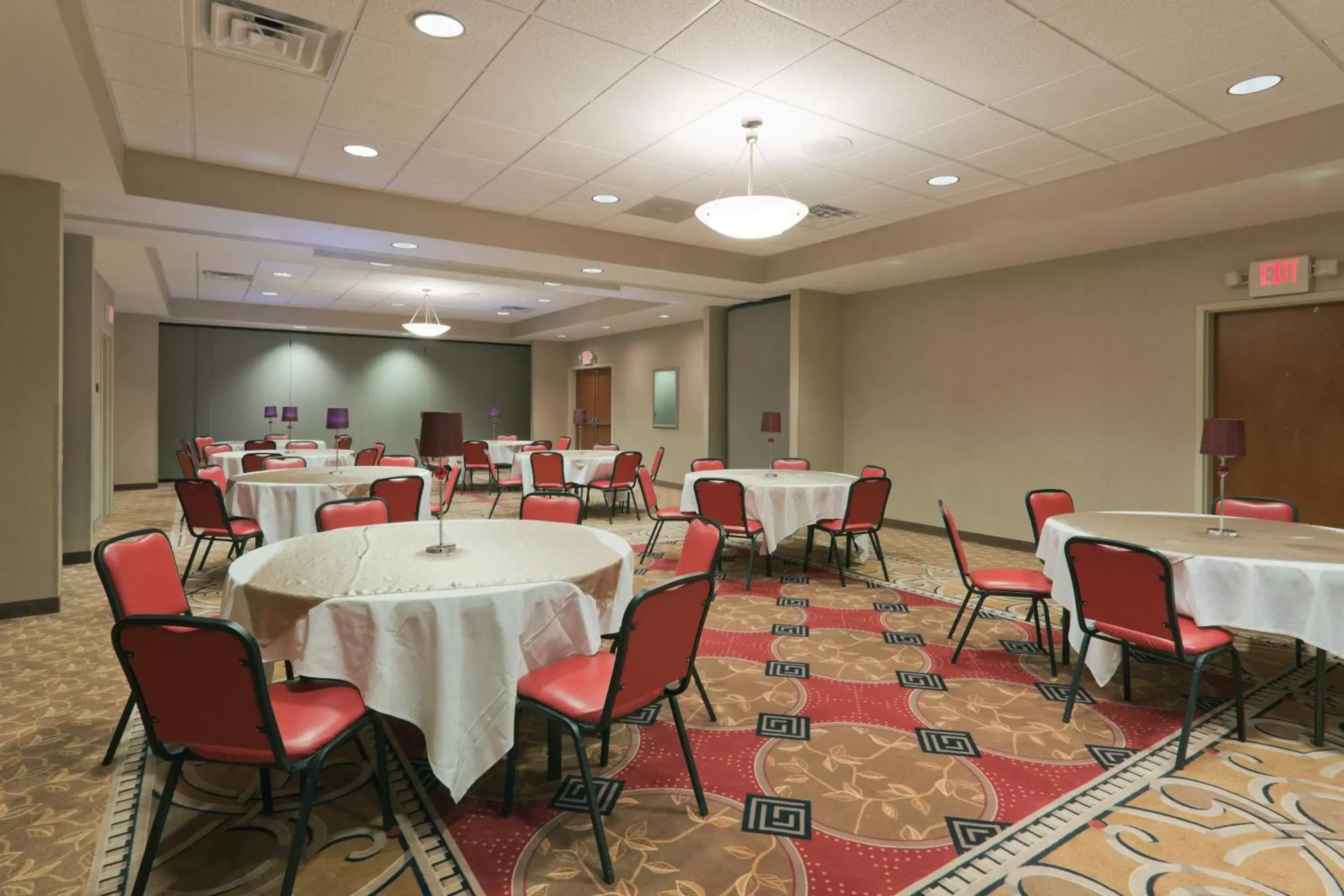 Banquet/Function facilities in Holiday Inn Carbondale - Conference Center, an IHG Hotel