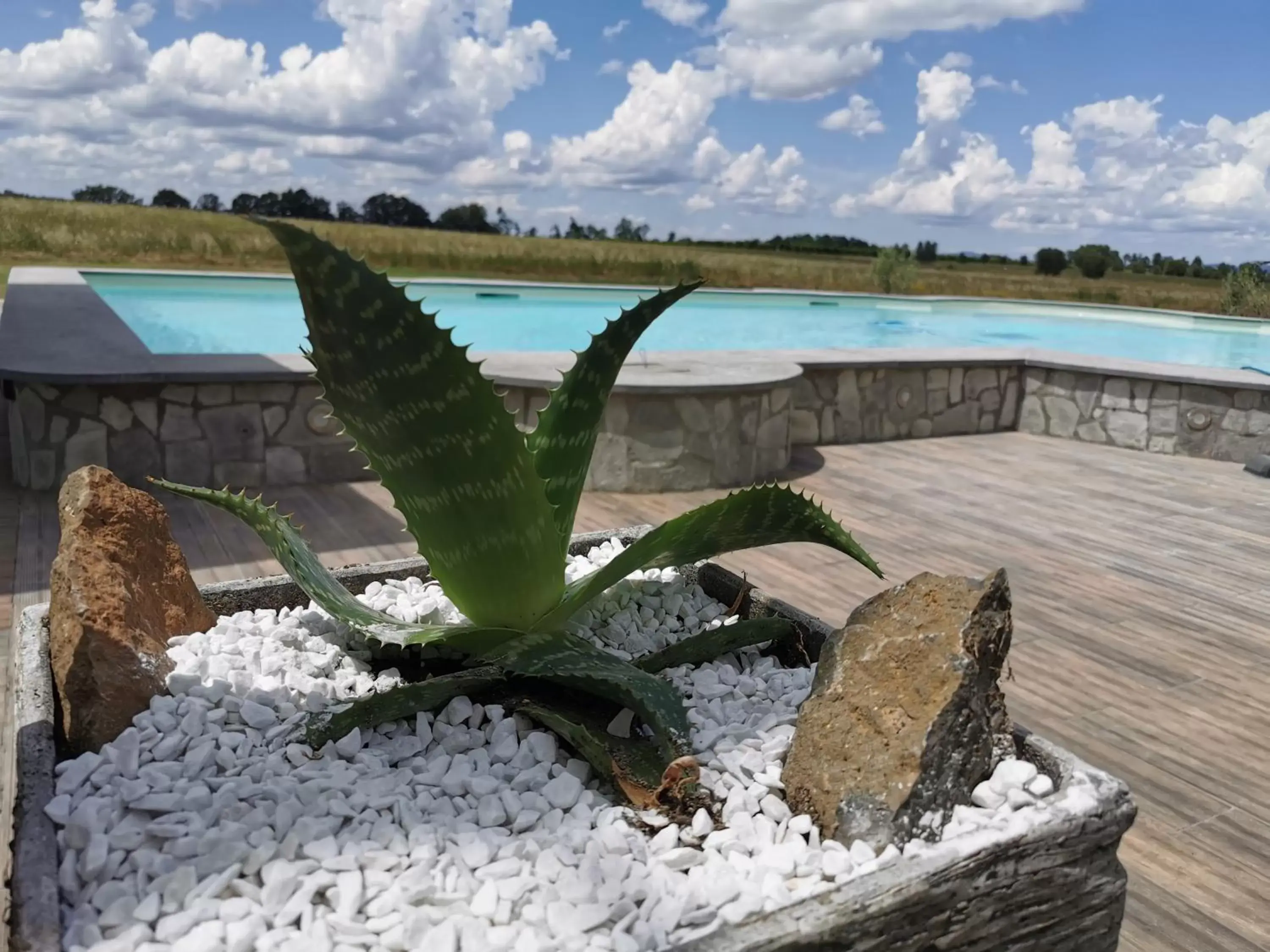 Swimming pool in Casale dei Gelsi