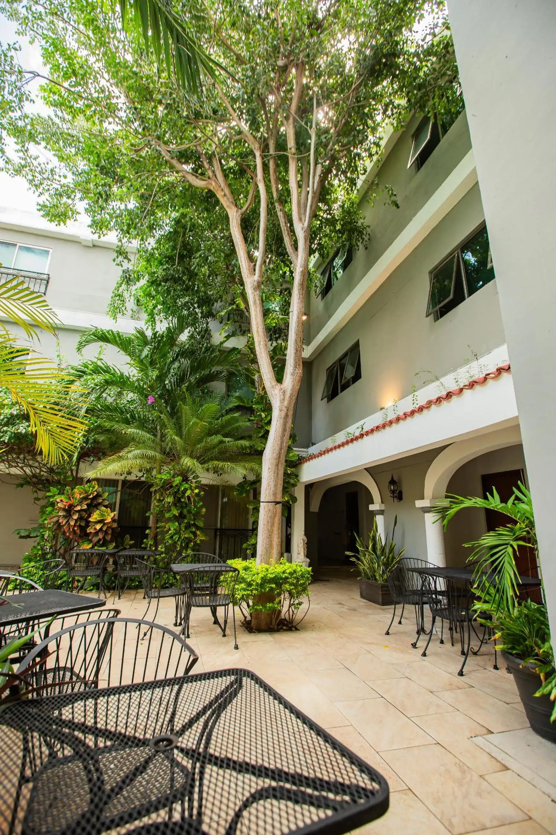 Garden view, Property Building in Hotel Nacional Merida