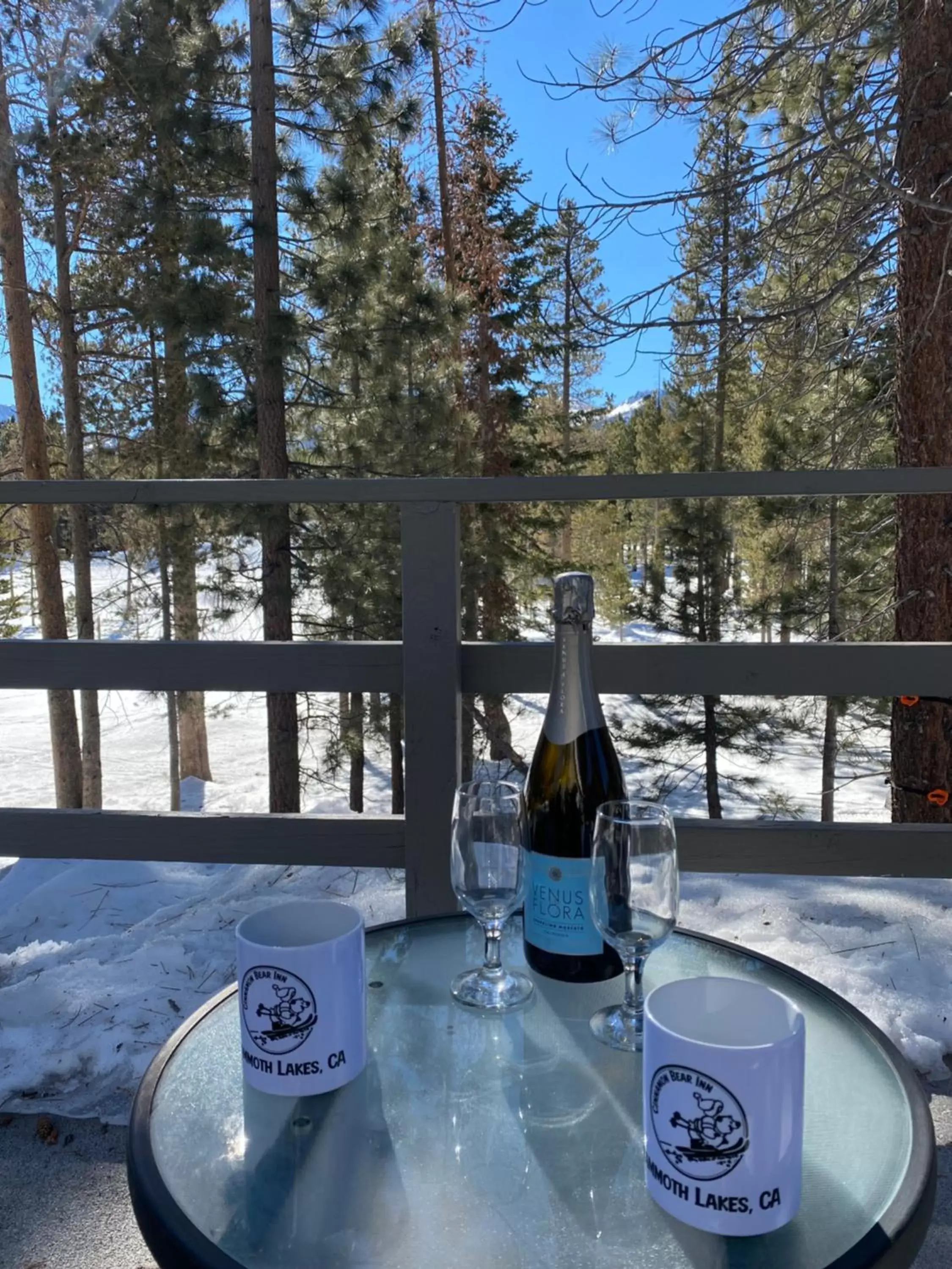 Patio in Cinnamon Bear Inn