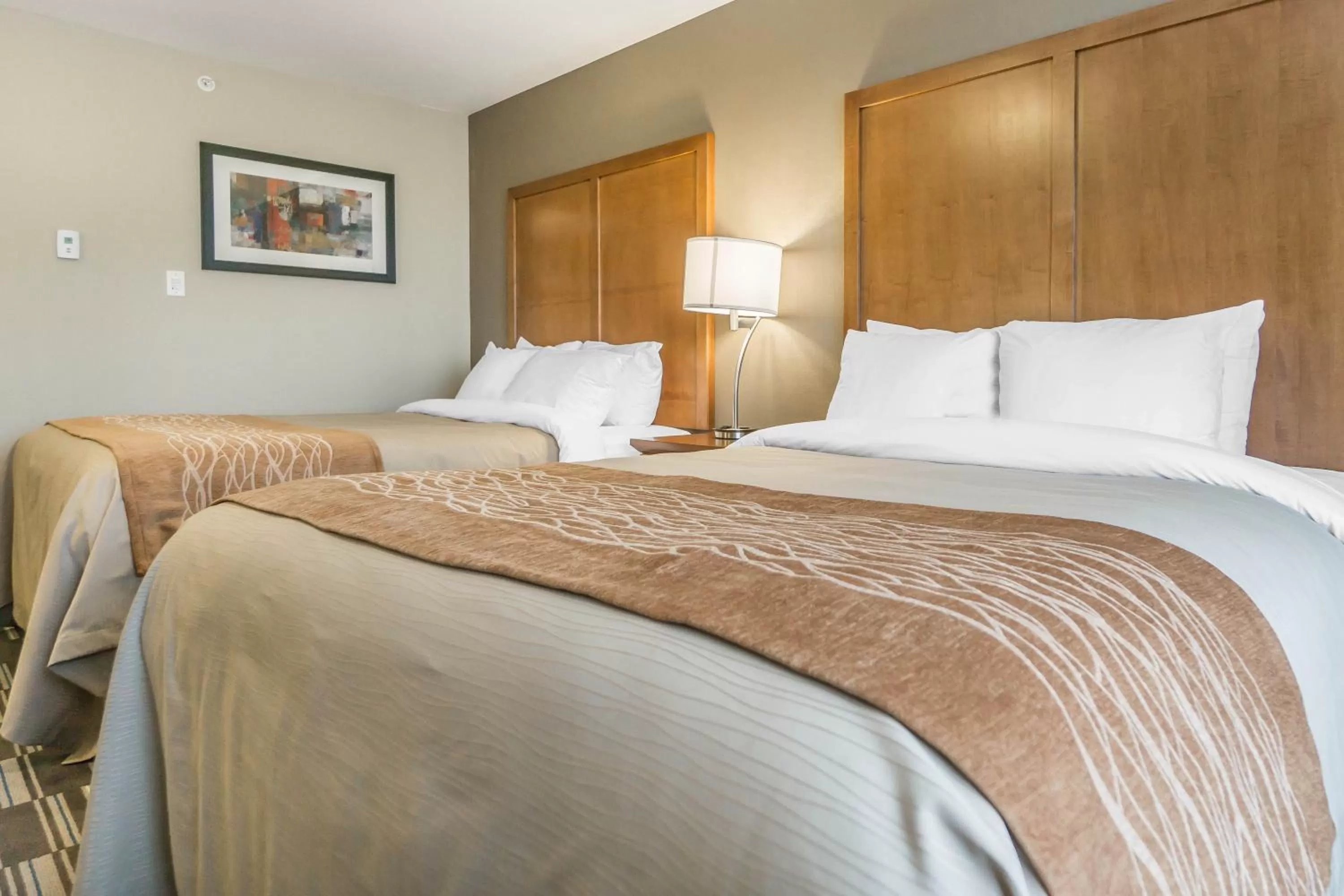 Photo of the whole room, Bed in Comfort Inn & Suites Edmonton International Airport
