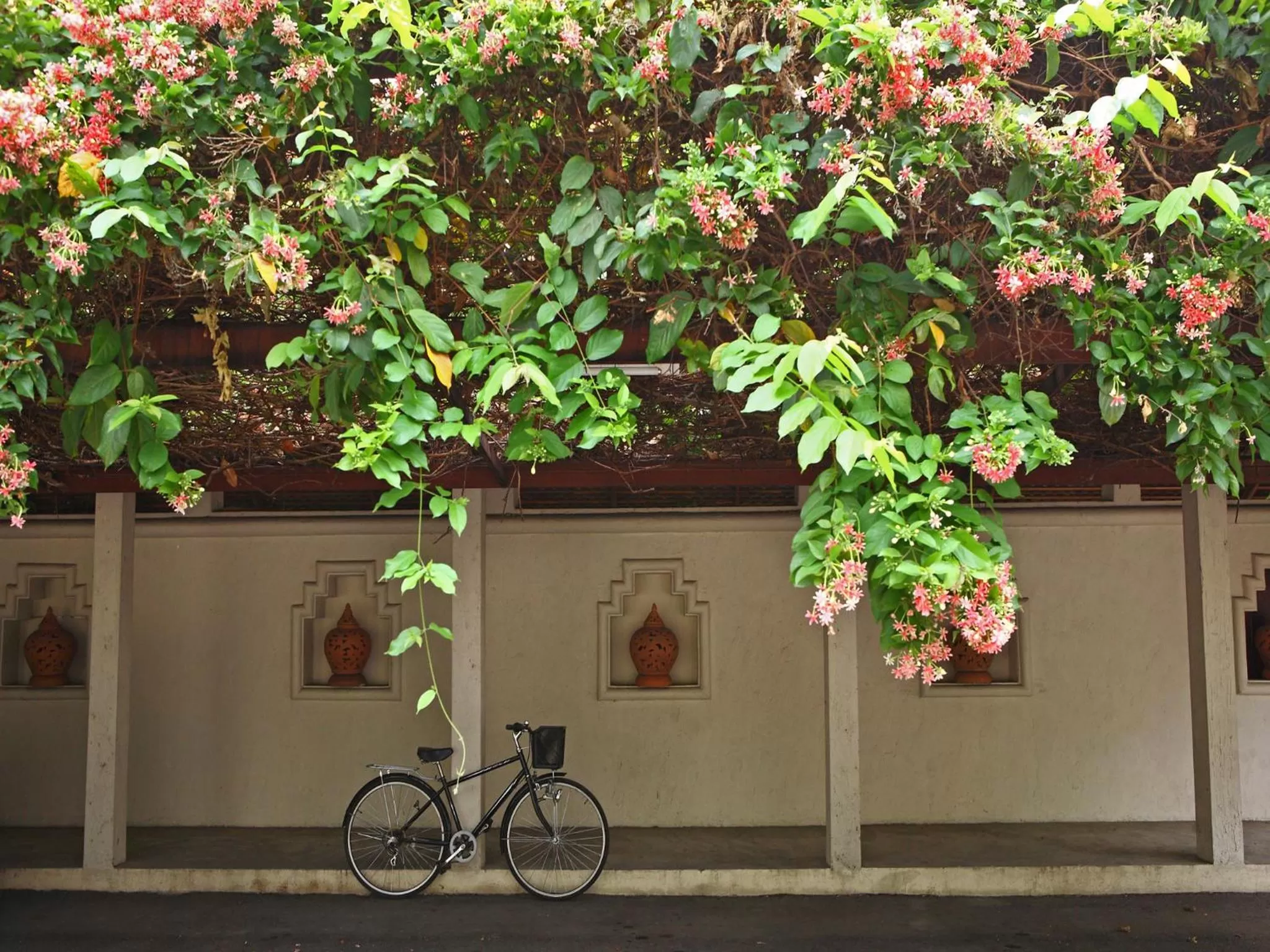 Garden in Lanna Dusita Riverside Boutique Resort