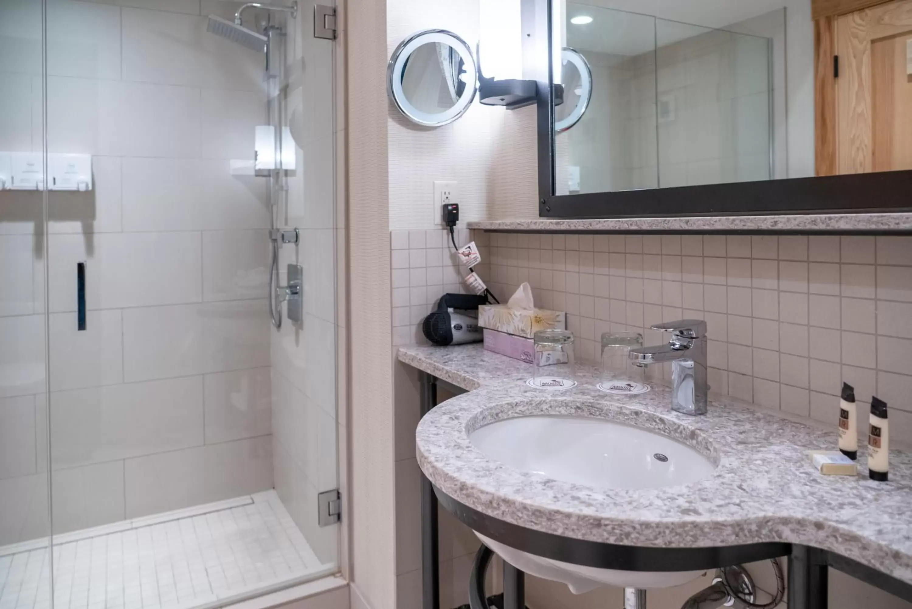 Shower, Bathroom in Moose Hotel and Suites