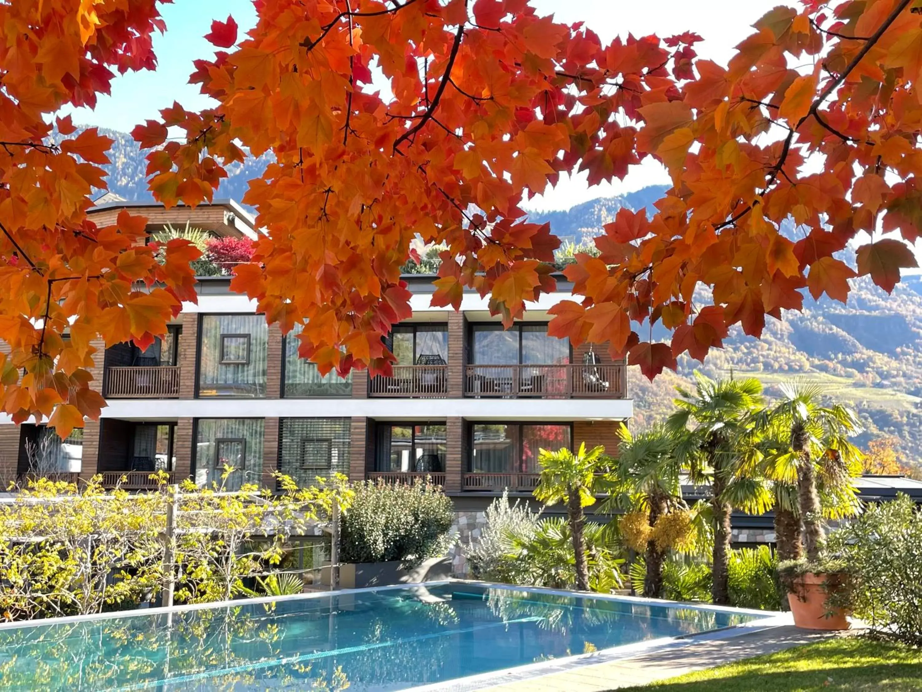 Swimming Pool in Hotel Ansitz Plantitscherhof