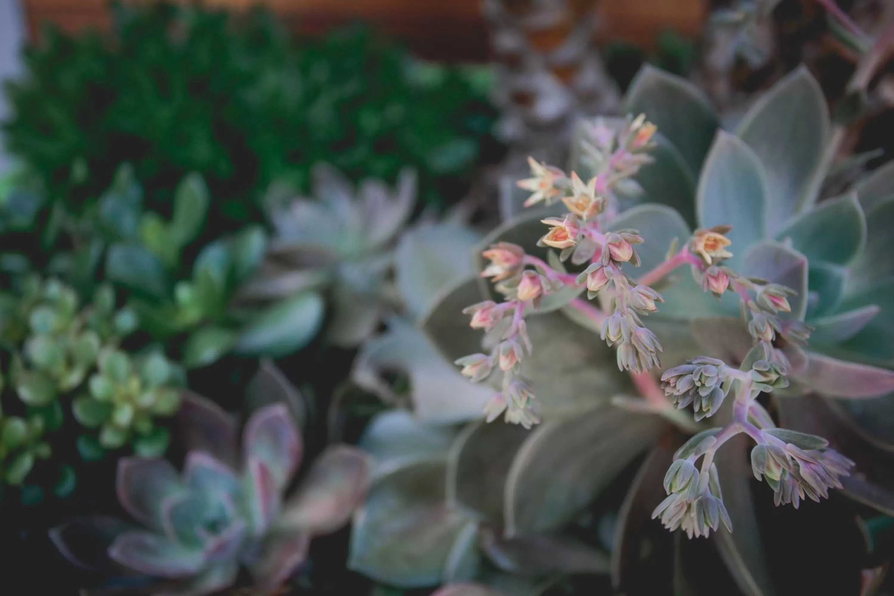 Decorative detail in Menlo Park Inn