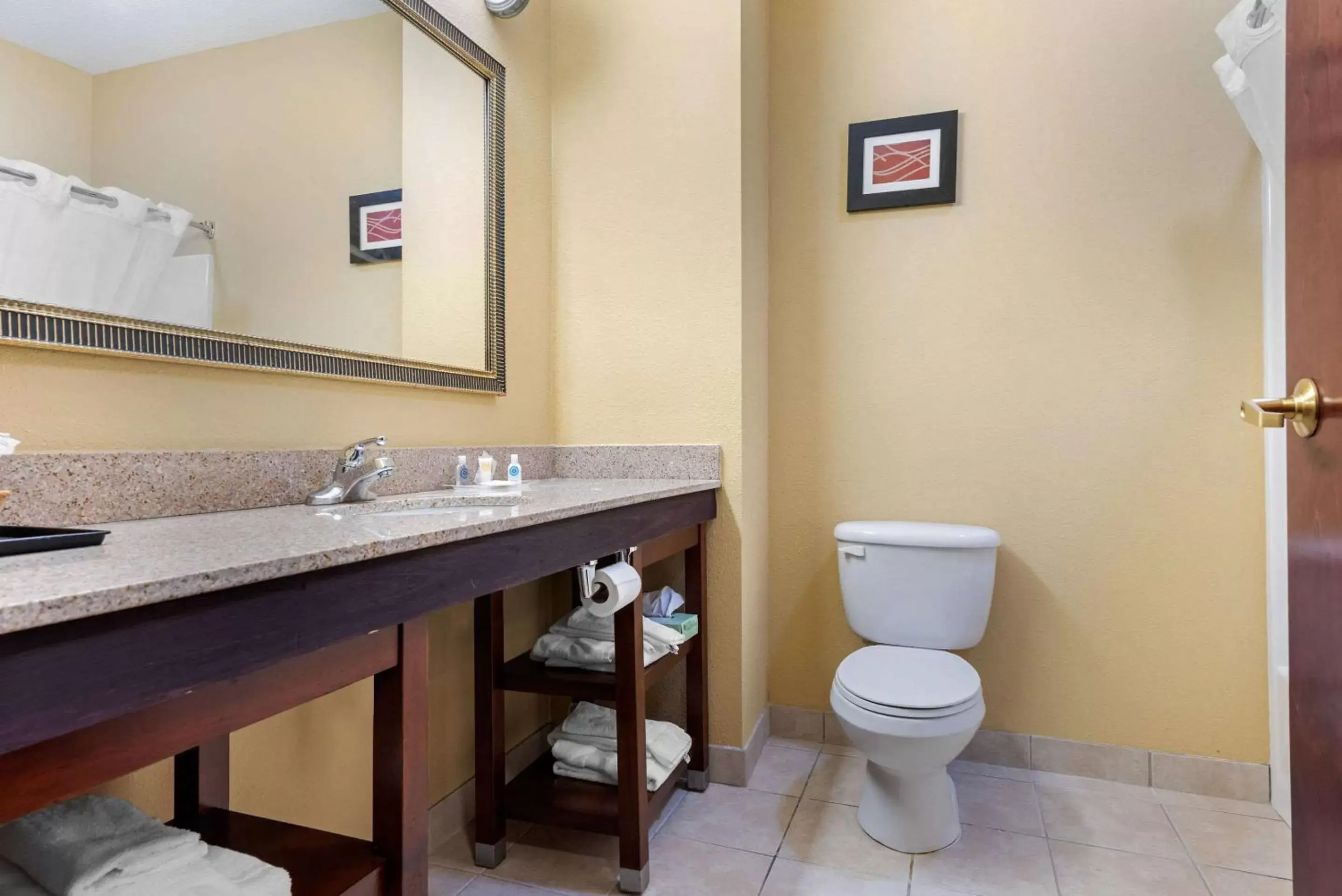 Bathroom in Comfort Suites Findlay I-75