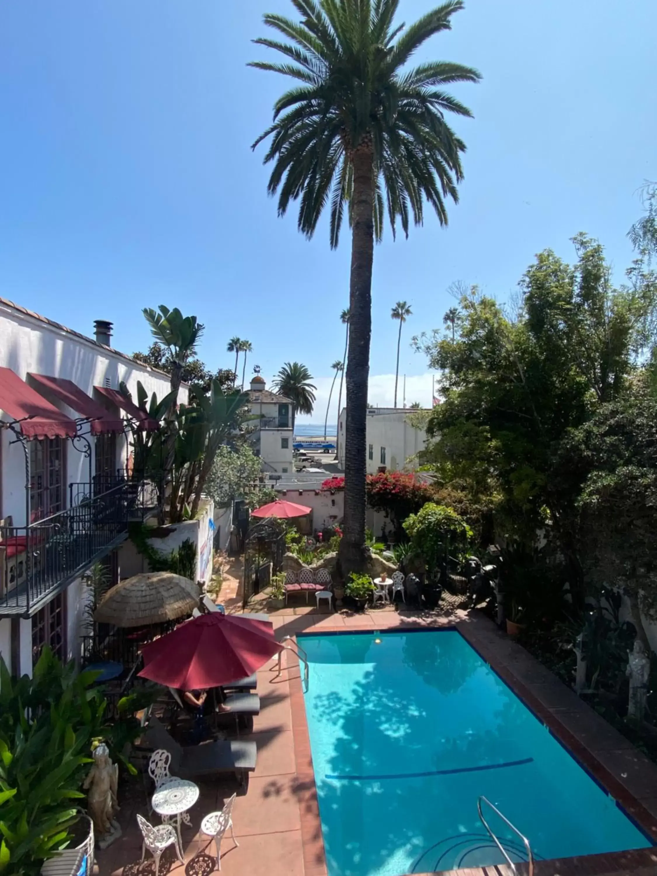 Swimming Pool in Villa Rosa Inn